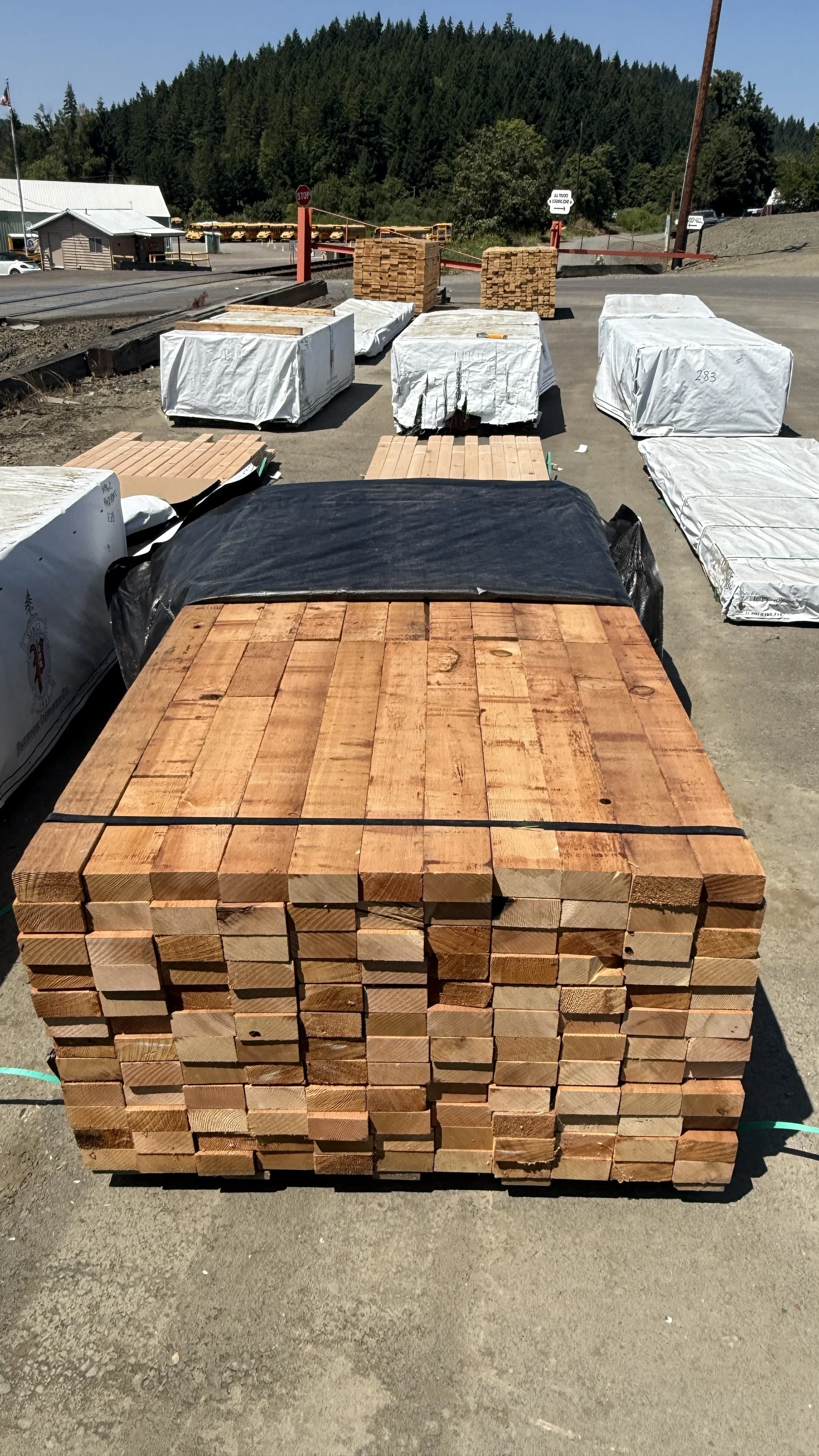 8/4x4 Western Red Cedar Vertical Grain
