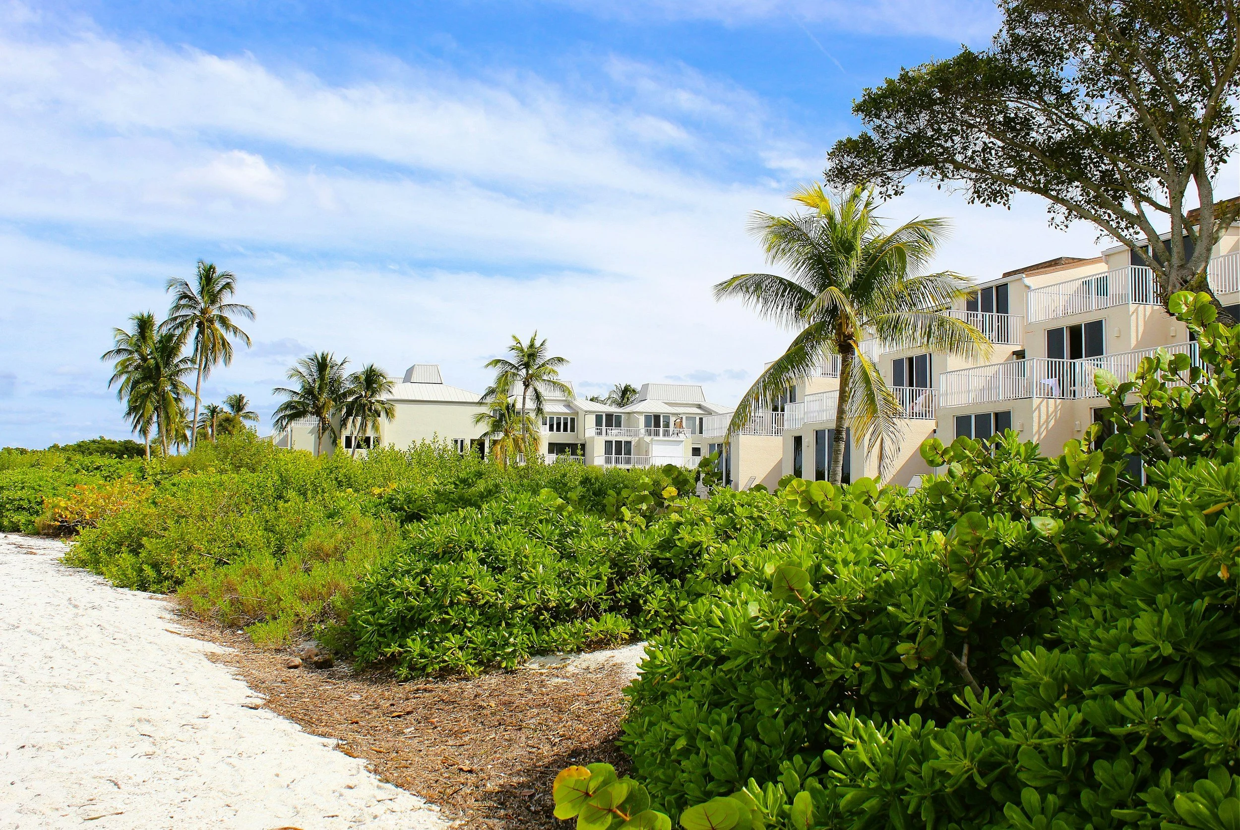 A tropical scene with white sandy paths, green bushes, palm trees, and white multi-story buildings with balconies under a blue sky with scattered clouds.