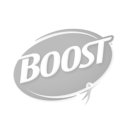 Boost logo with oval shape and stylized text.