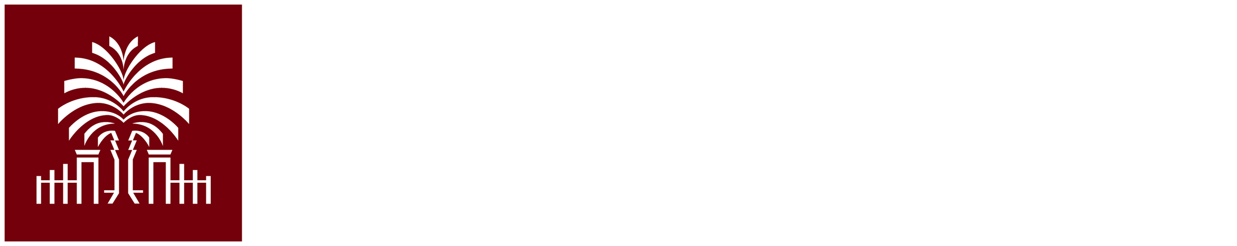 University of South Carolina logo with the university's name in white text on a black background and a red square featuring a white palmetto tree and crescent.