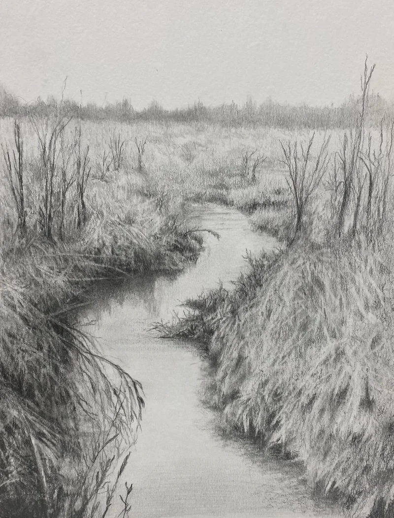 The Marsh Graphite Drawing