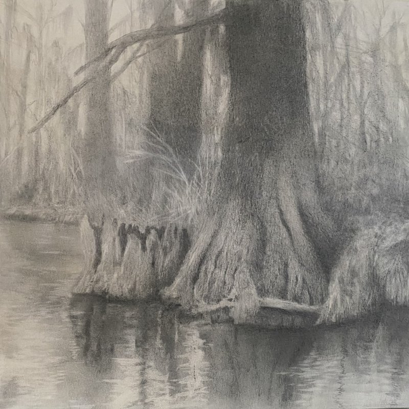 River Trees graphite drawing
