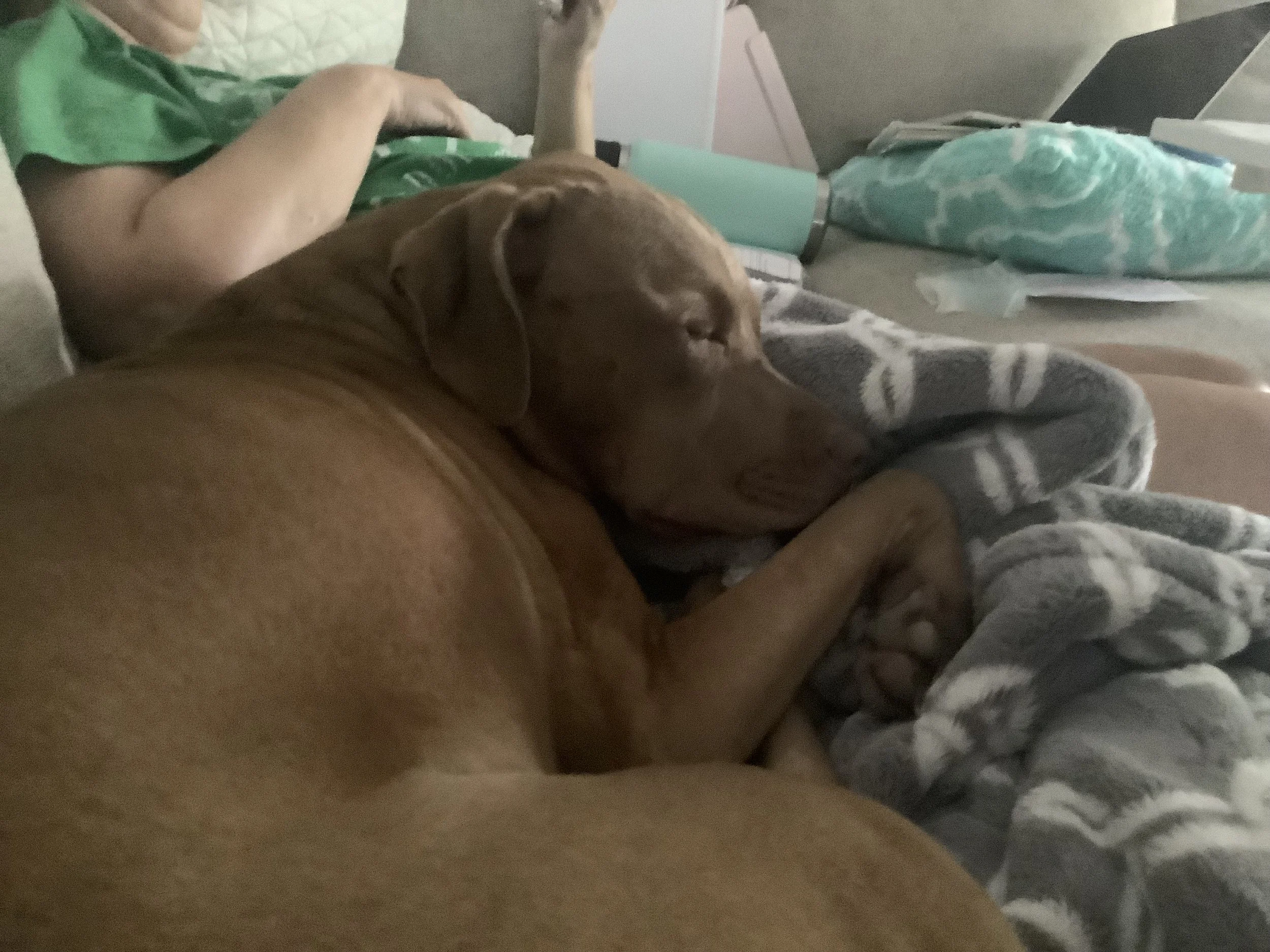 IMG_0230.jpeg