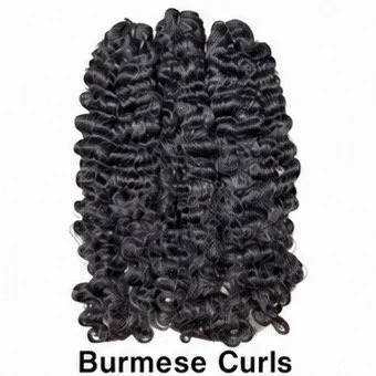(K-Tips) Loose/ Burmese Curly