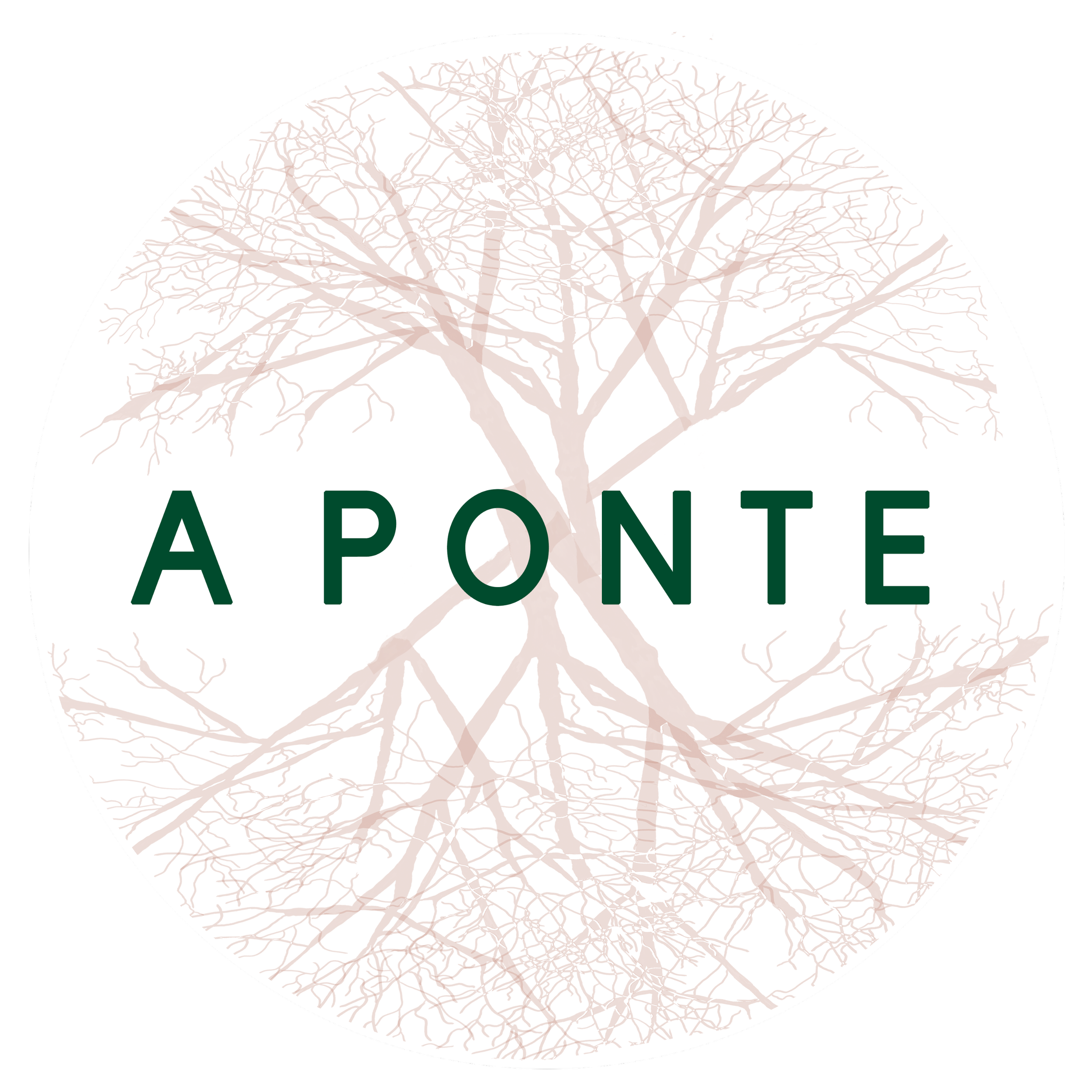 Logo_RedeAPonte.PNG