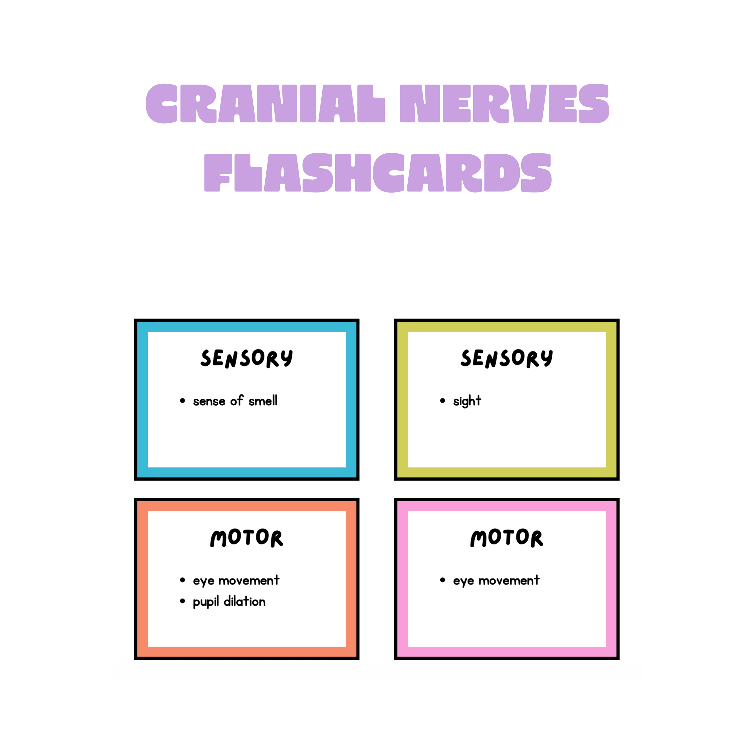 cranial nerves flashcards image_back.png