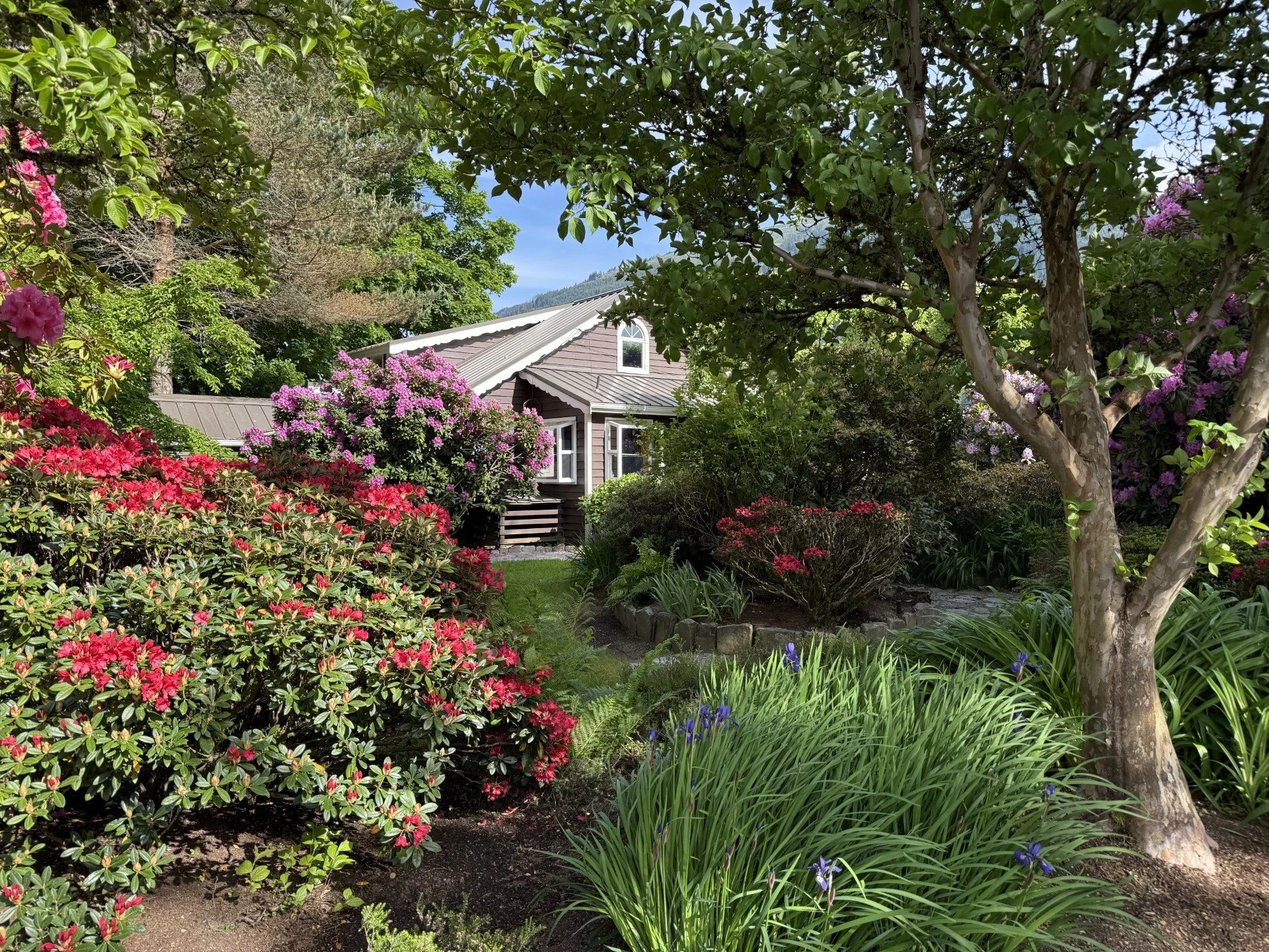 NEW PHOTO - FARMHOUSE.jpg