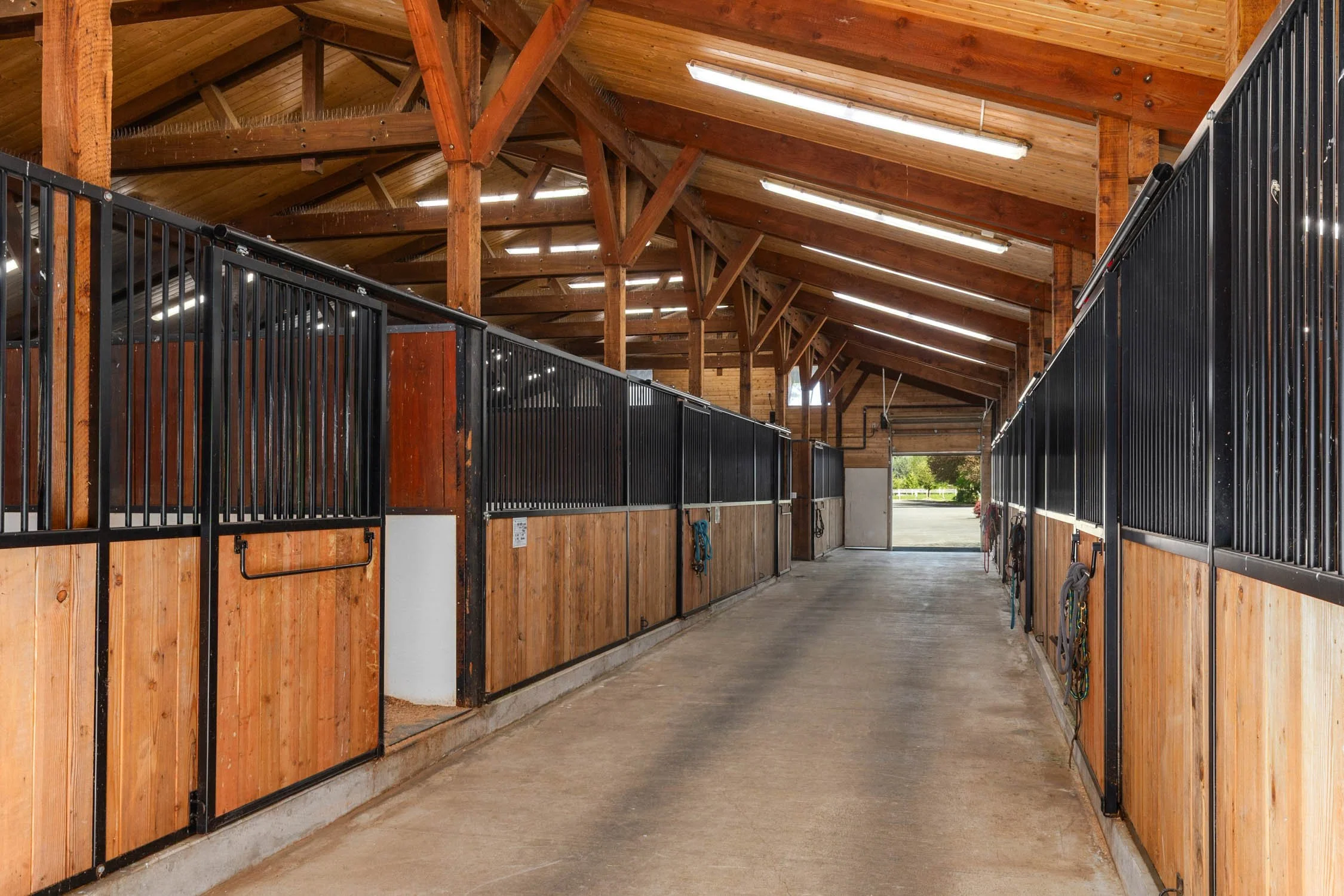 2nd Show Barn (2).jpg