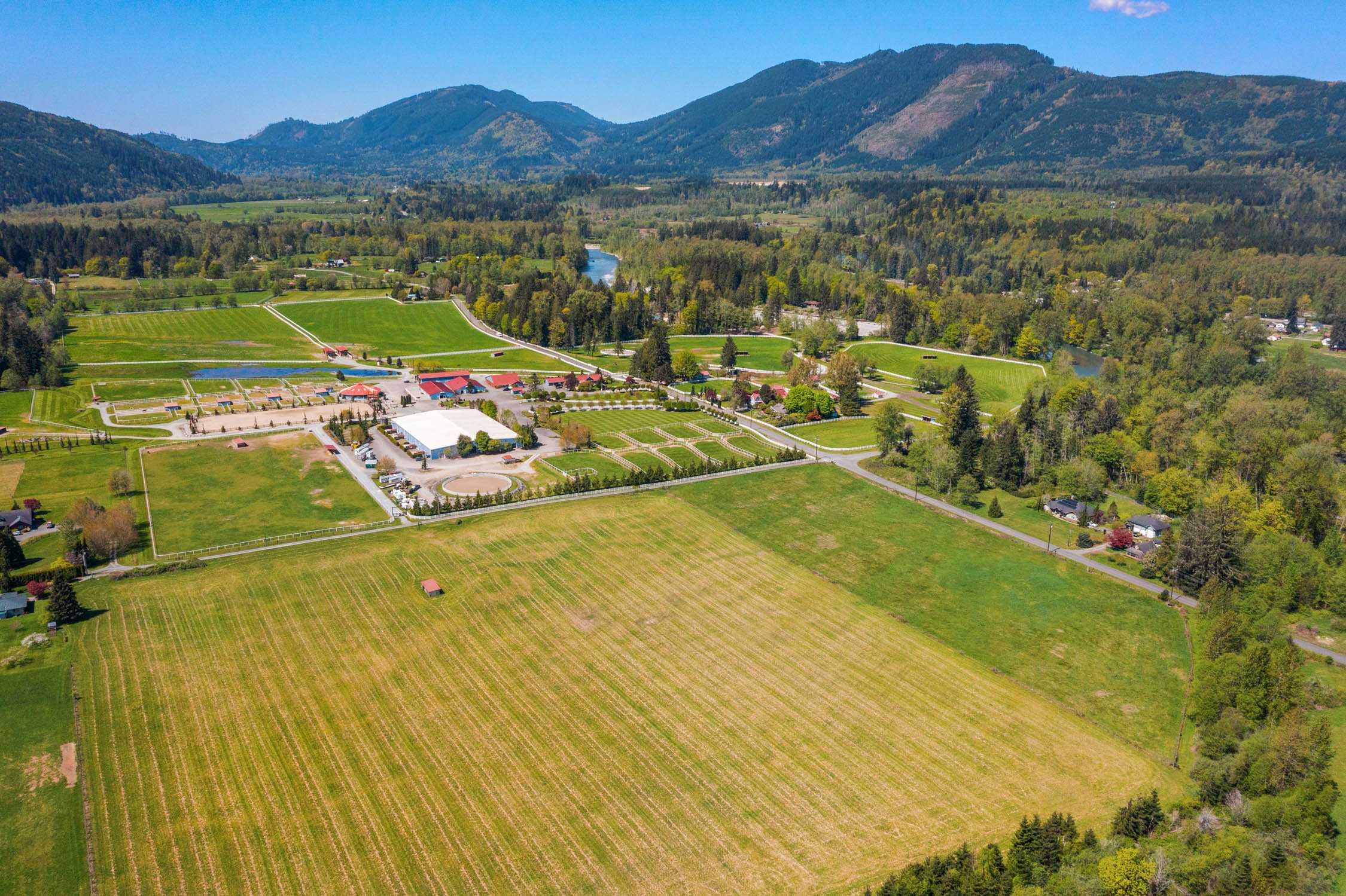 Web-4.jpg