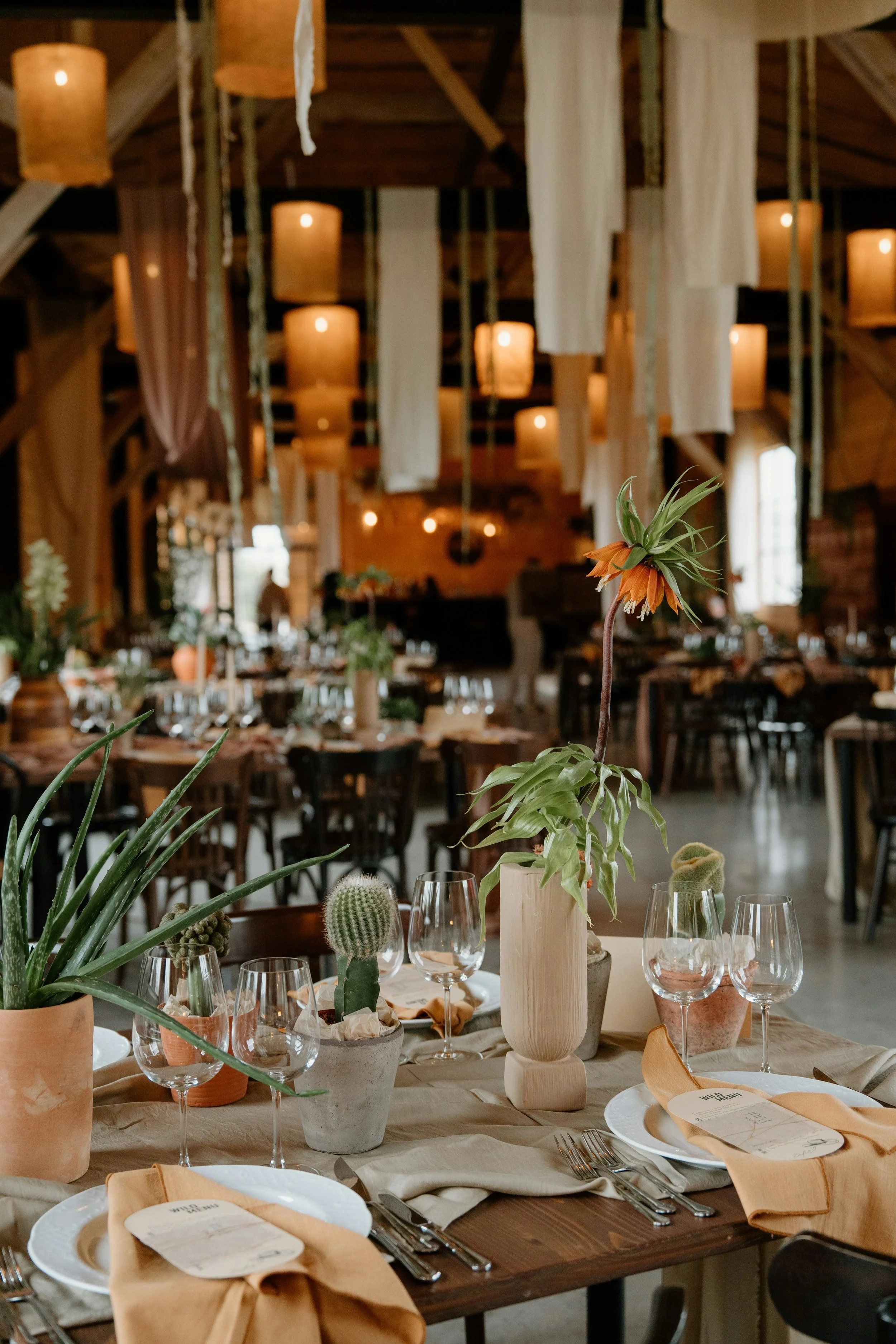 A decorated dining table with plates, glassware, and napkins, featuring small potted cacti and succulents, set in a rustic wooden venue with hanging lanterns and flowing fabric accents.