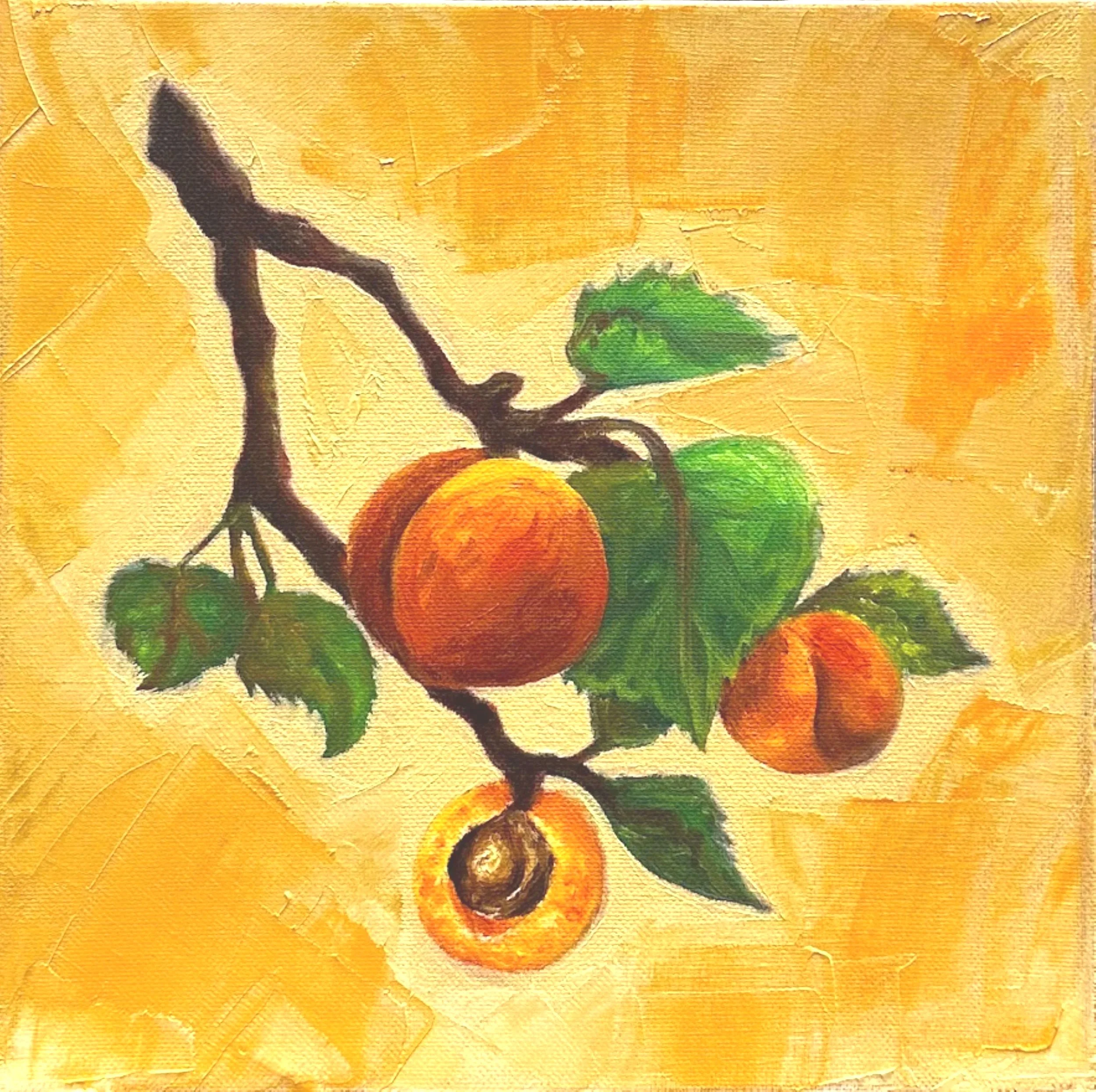 'Mish-Mish' Oil on Canvas, 10" x 10", 2024
