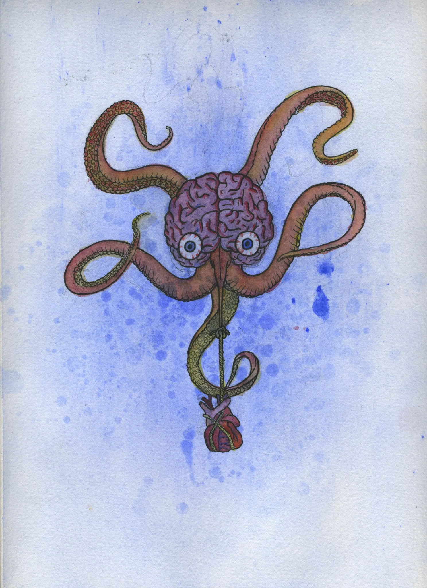octopus watercolor art 