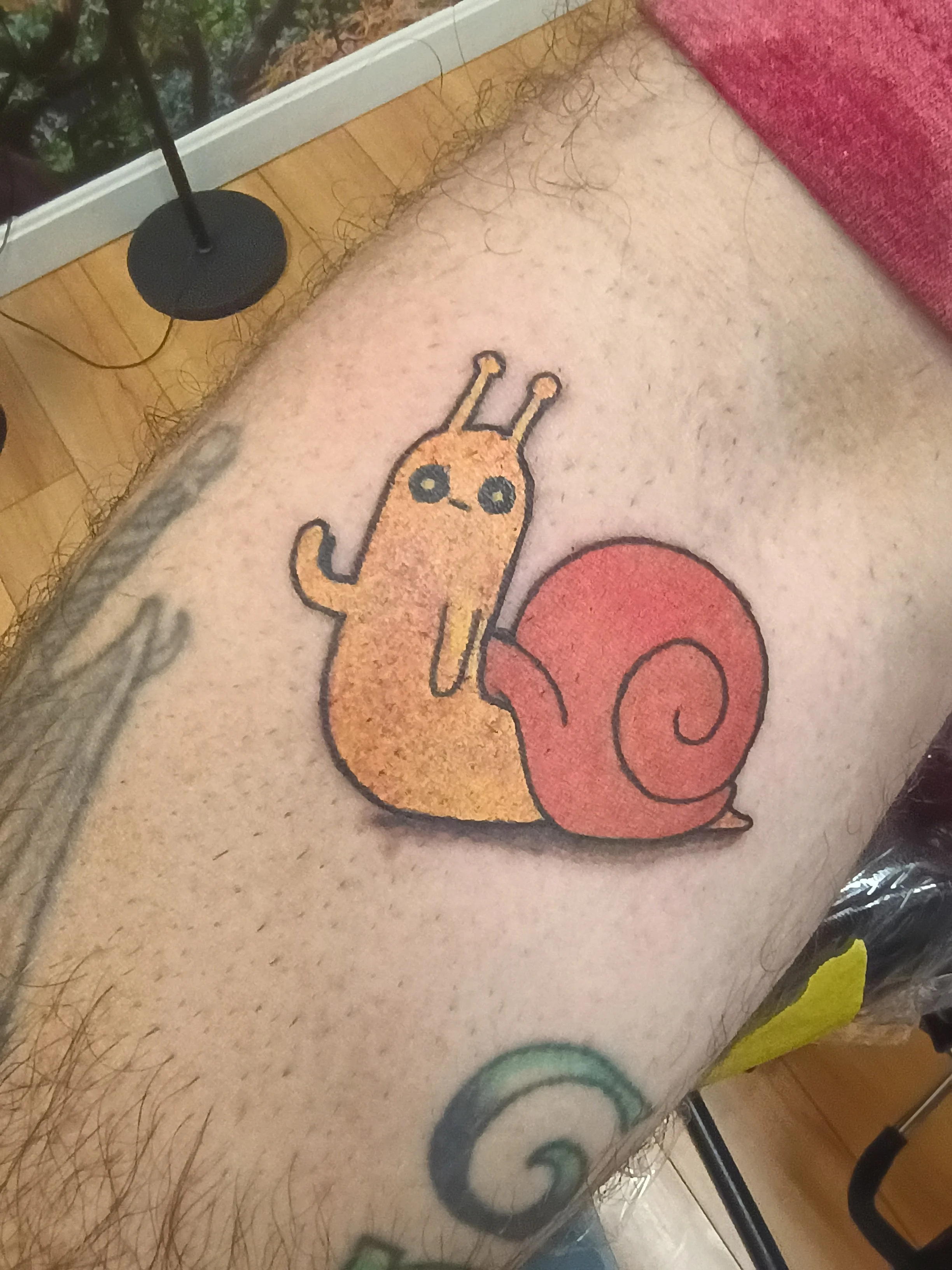 cool snail 