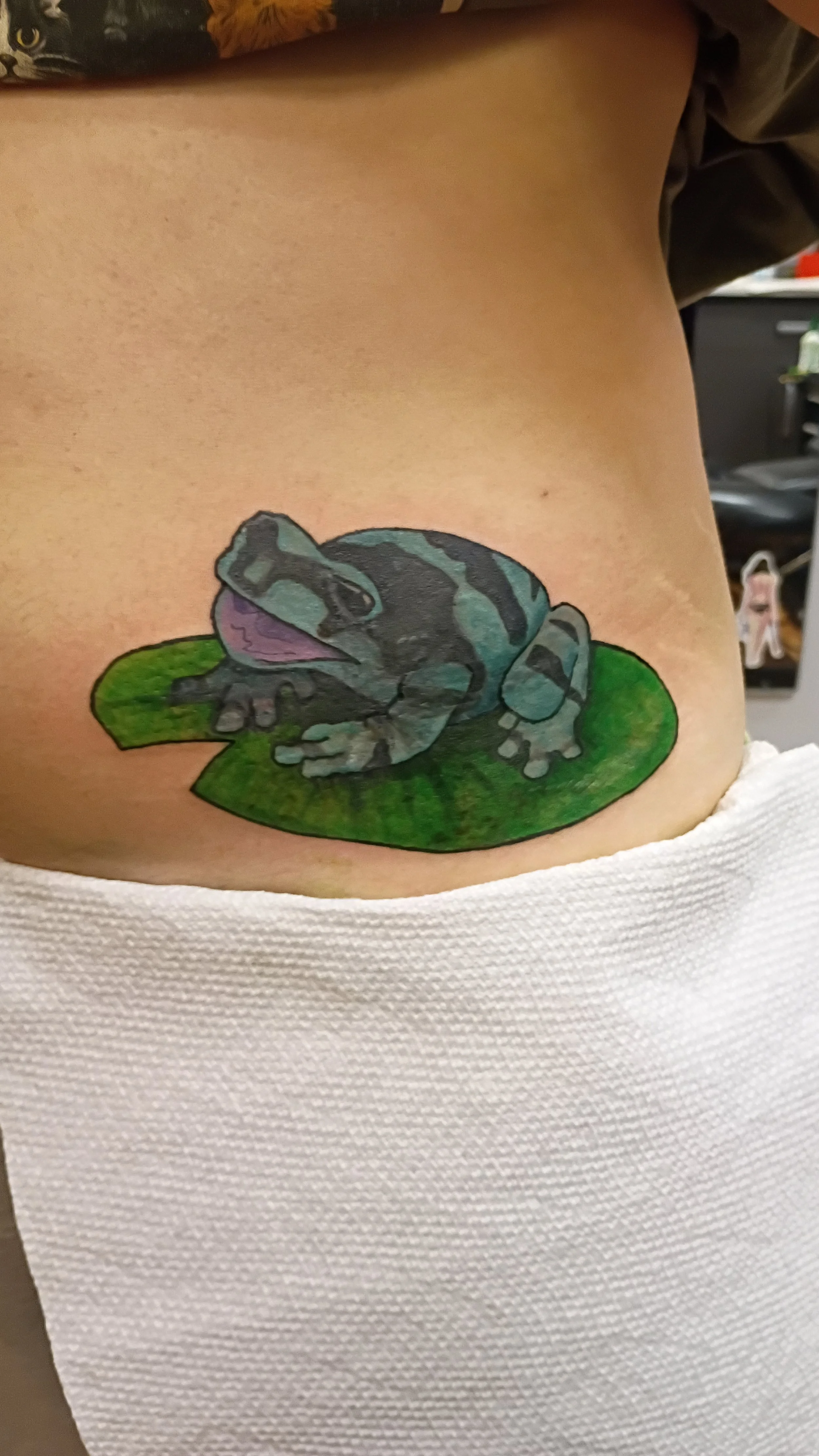 frog cover up 