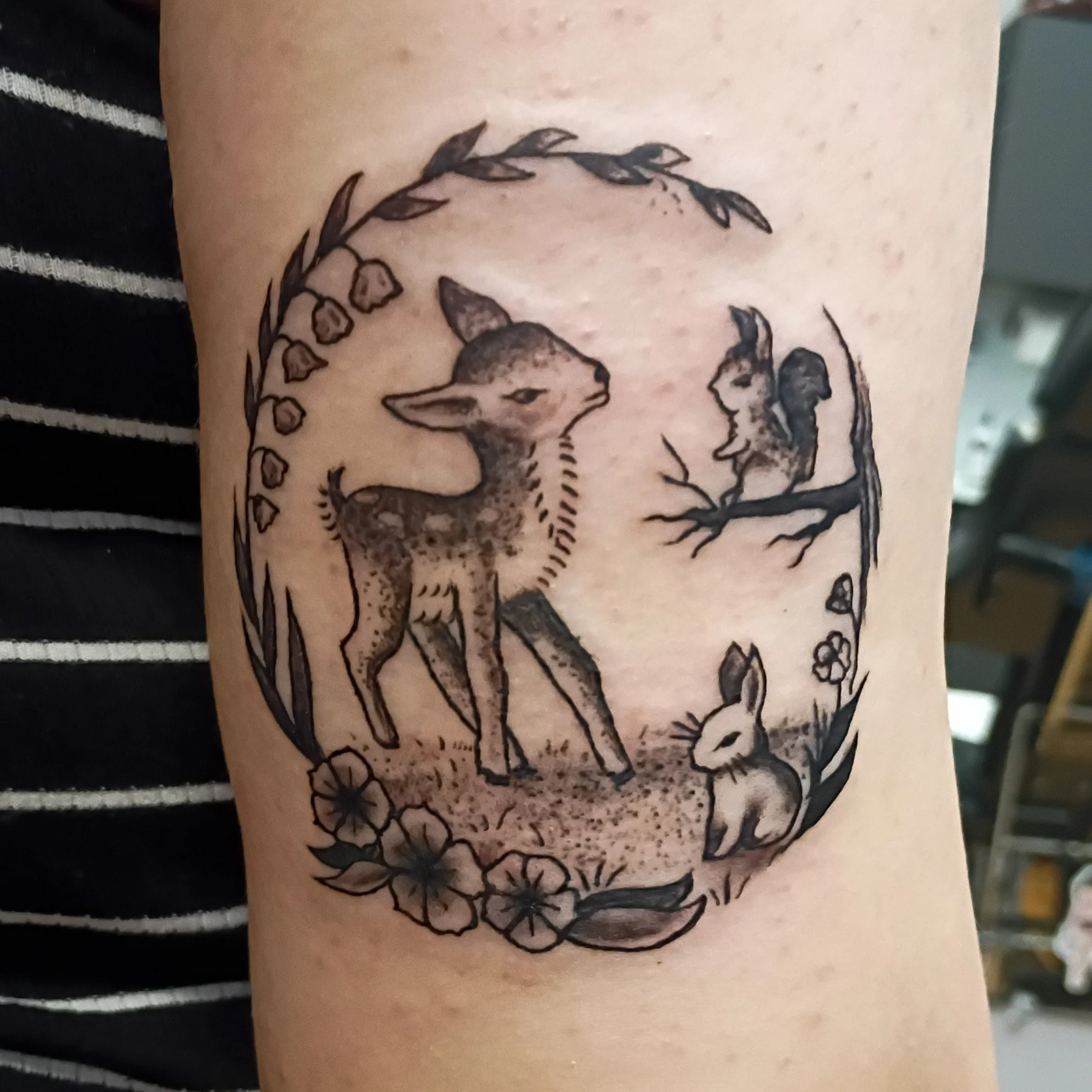 cute deer nature scene
