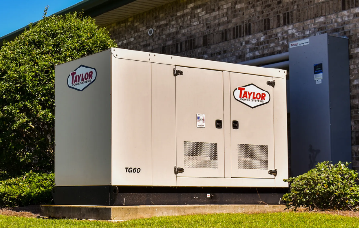Taylor Genset 1.png