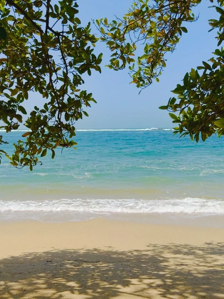 Nature doesn&rsquo;t wait for the right conditions but instead it builds from exactly what it has with complete trust in the process.

I think we could all take a lesson from that.

1. Tayrona National Park, Playa La Piscina
2. Santa Marta, Playa Bel