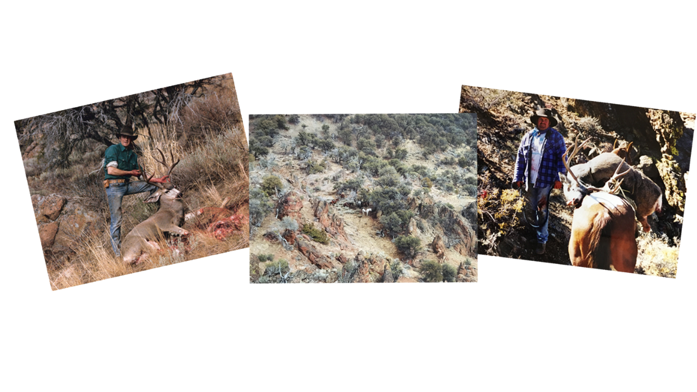 Three images featuring hunters with deer and a rocky and forested landscape.