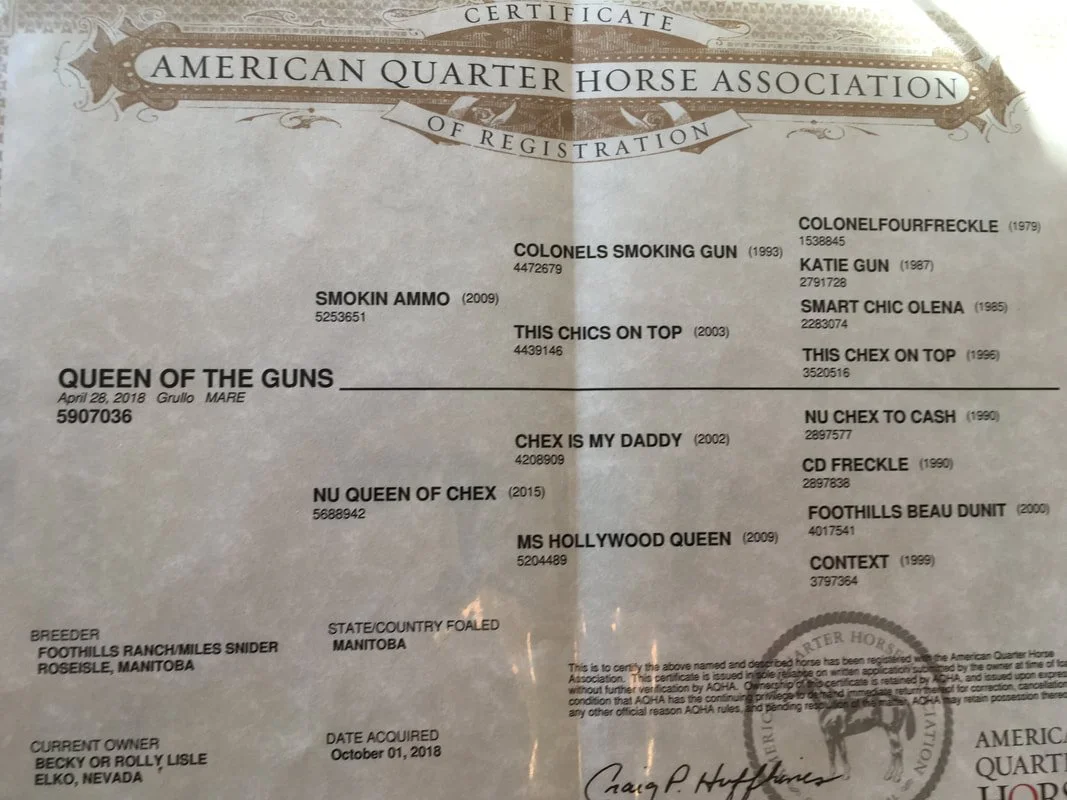 QUEEN OF THE GUNS