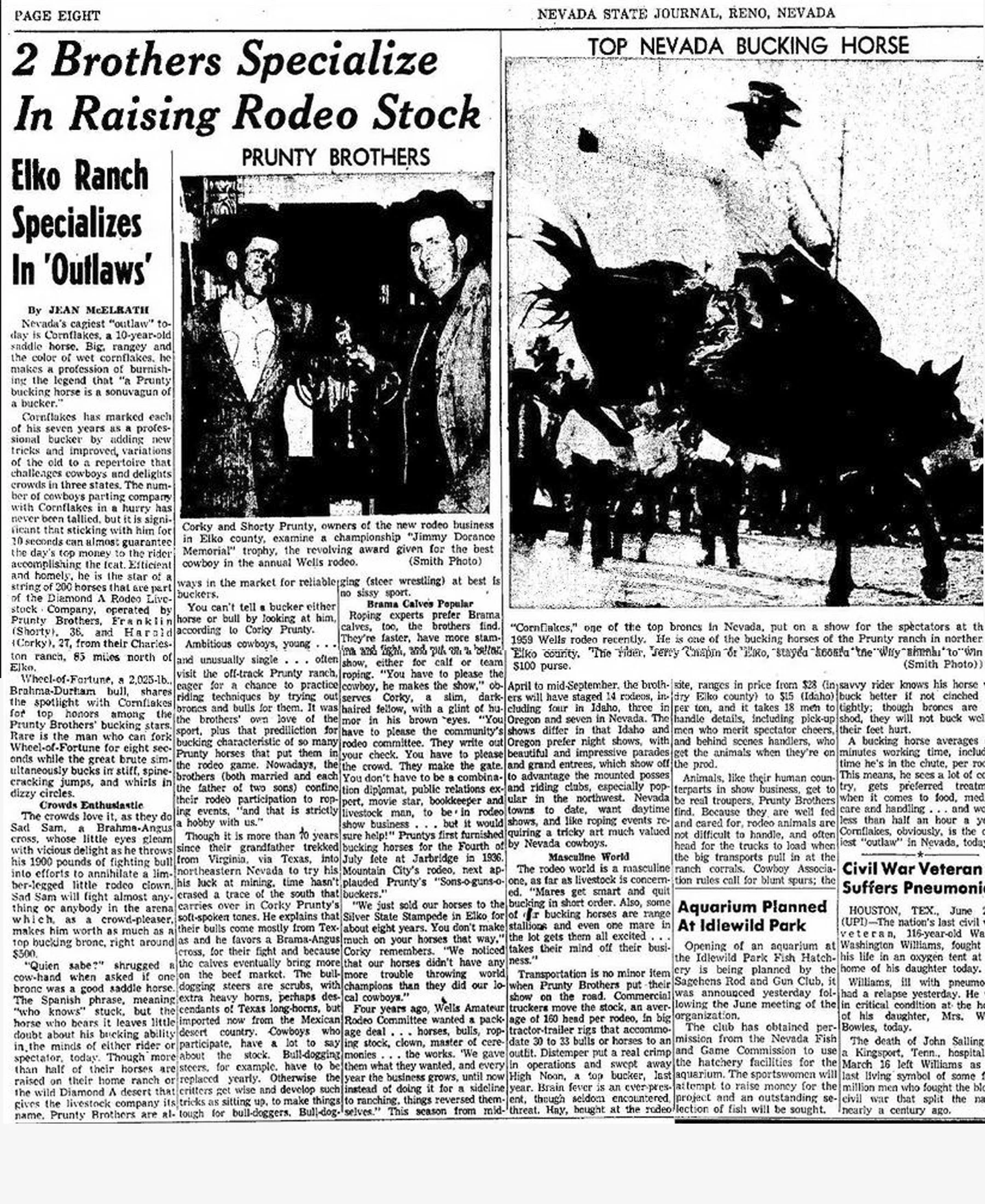 Old newspaper clipping with headlines about rodeo and bucking horses in Nevada, including a photo of a cowboy on a bucking horse.