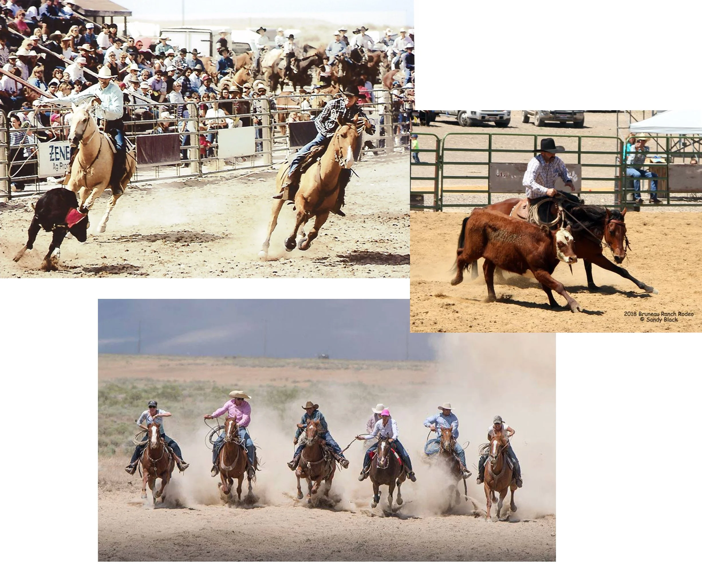 Cowboys riding horses in a roping event at an rodeo, with spectators watching from the stands.