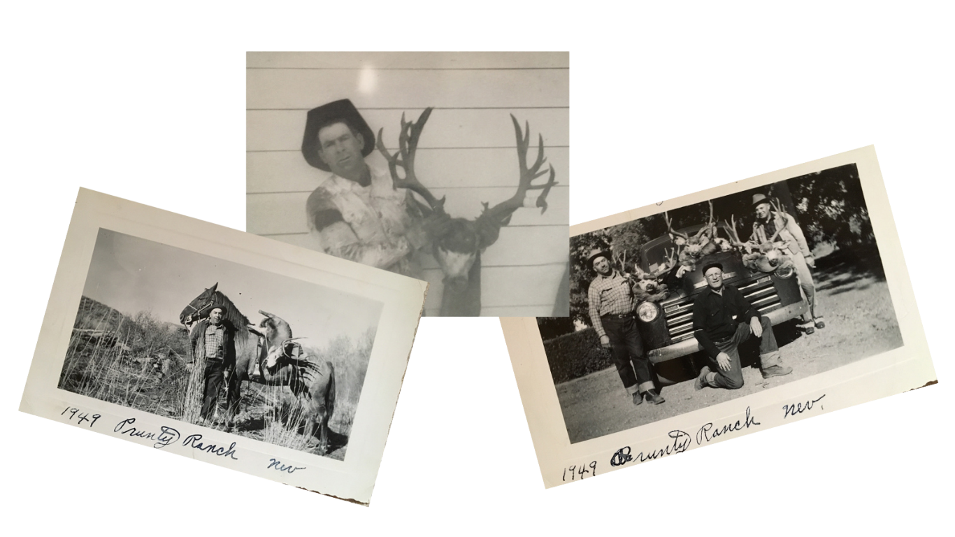 Black and white photos: One of a person holding a deer head with antlers, another of a man standing next to a horse with a man sitting on the horse on ranch land, and a third of three men posing with deer antlers in front of a vintage truck, labeled '1949 Prunty Ranch, Nev'.