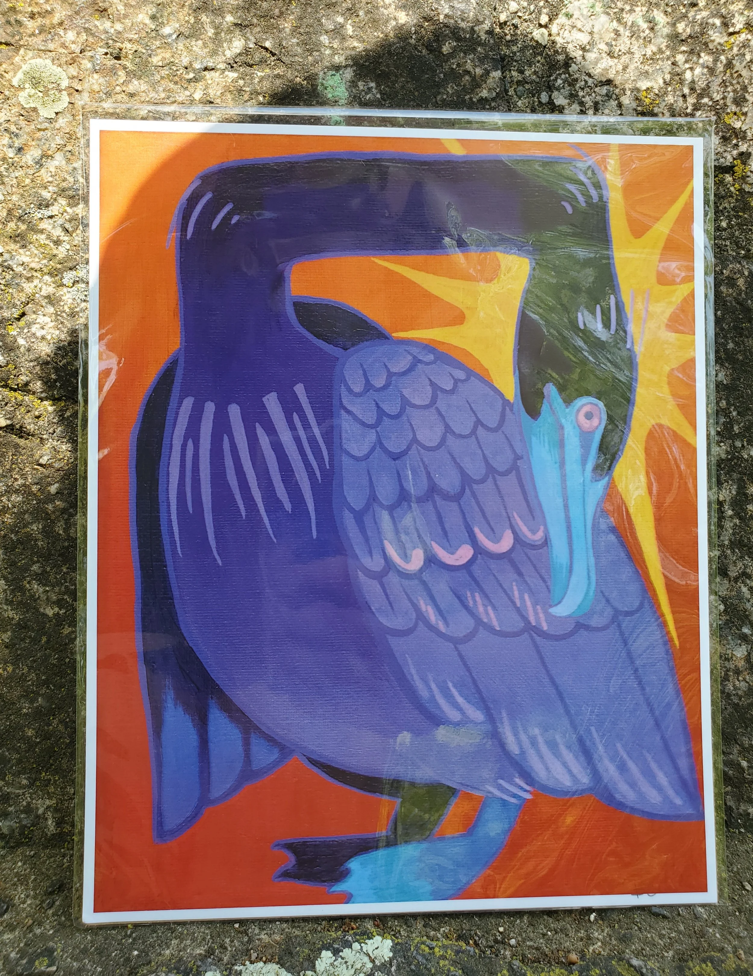 cormorantprint.jpg