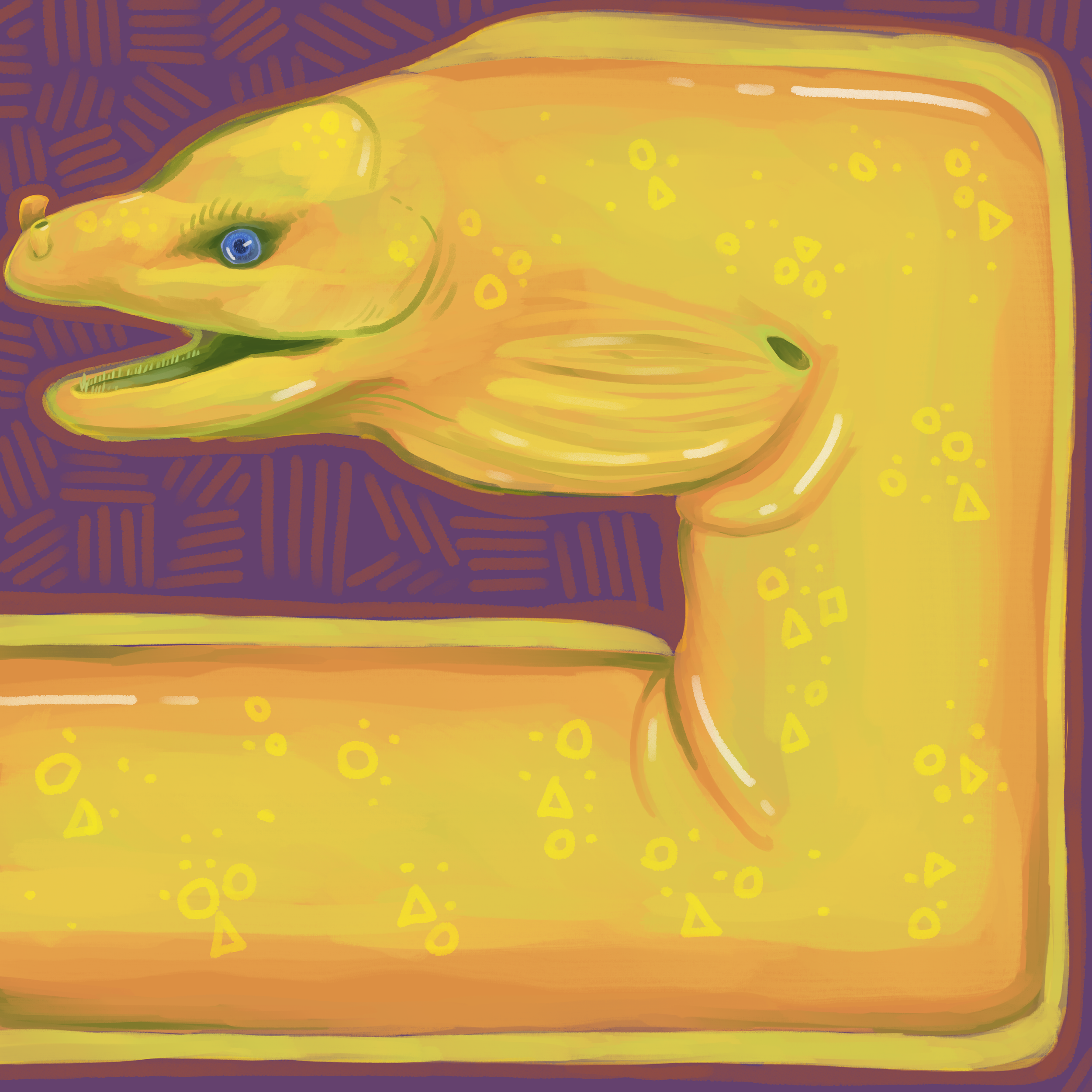 moraysmall.png