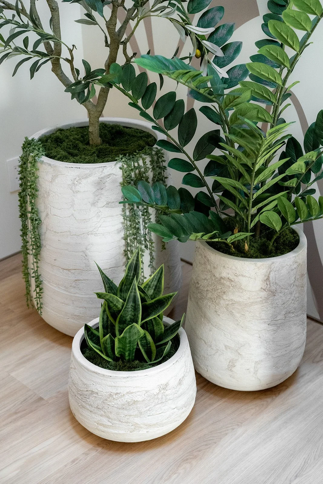 Three white marble textured plant pots with indoor plants on a wooden floor. The largest pot contains a tree, the medium-sized pot contains a leafy green plant, and the small pot contains a snake plant.