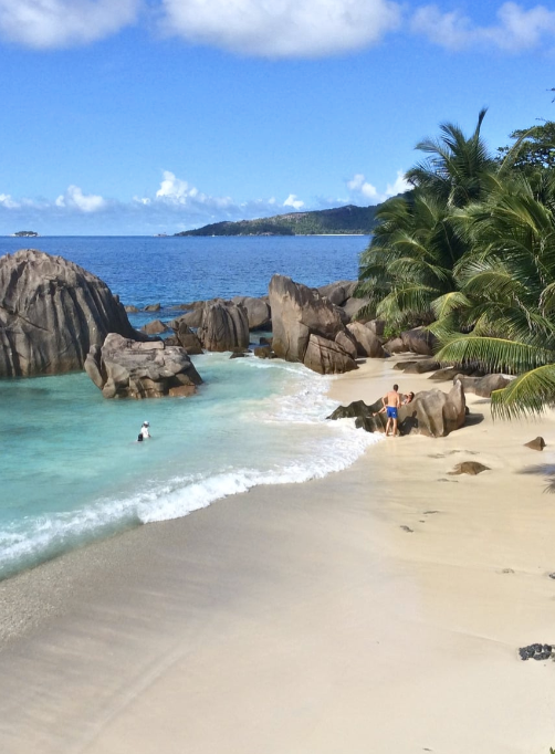 Celebration Travel Planning