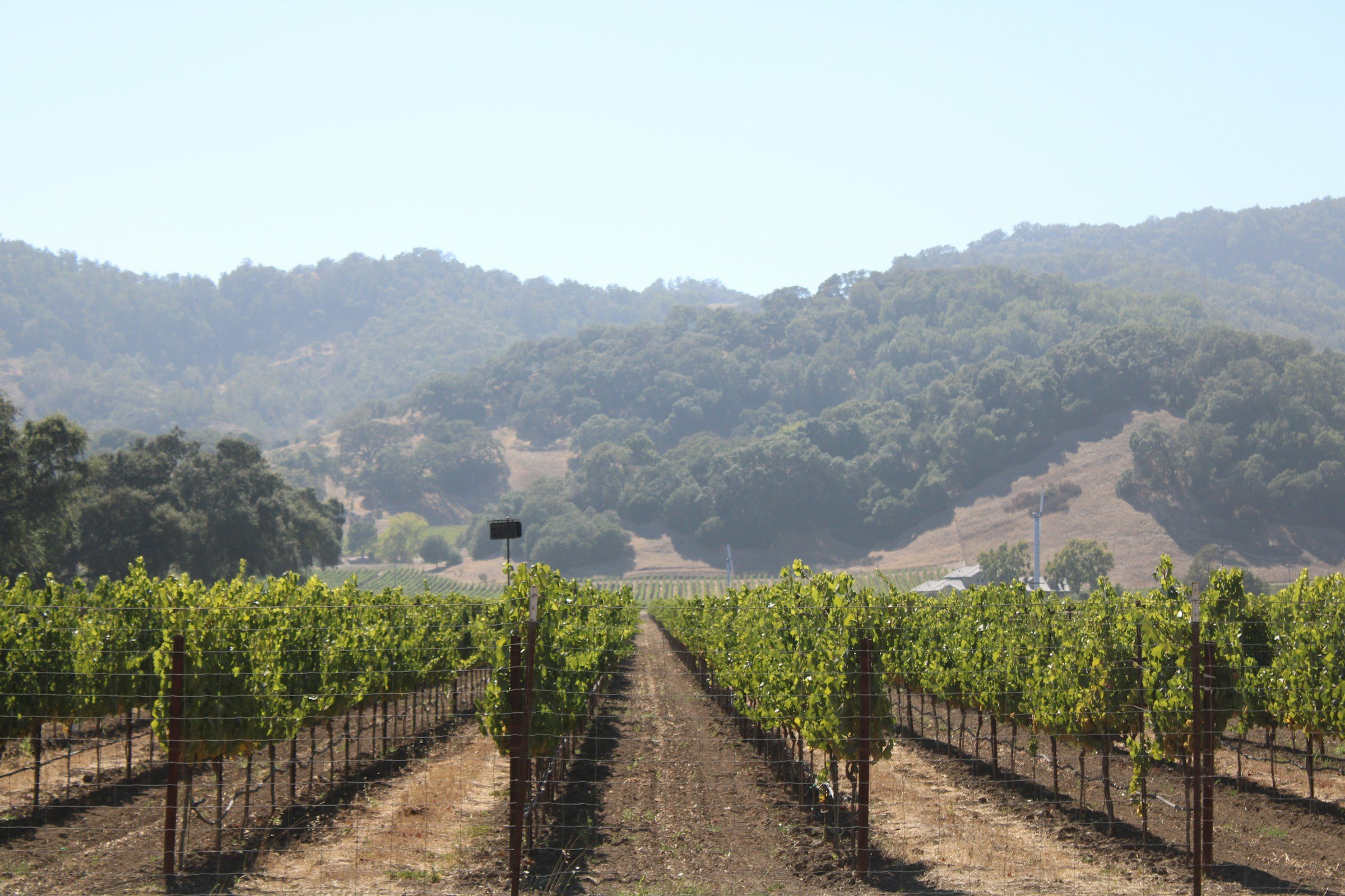 Napa Valley Bachelorette Itinerary
