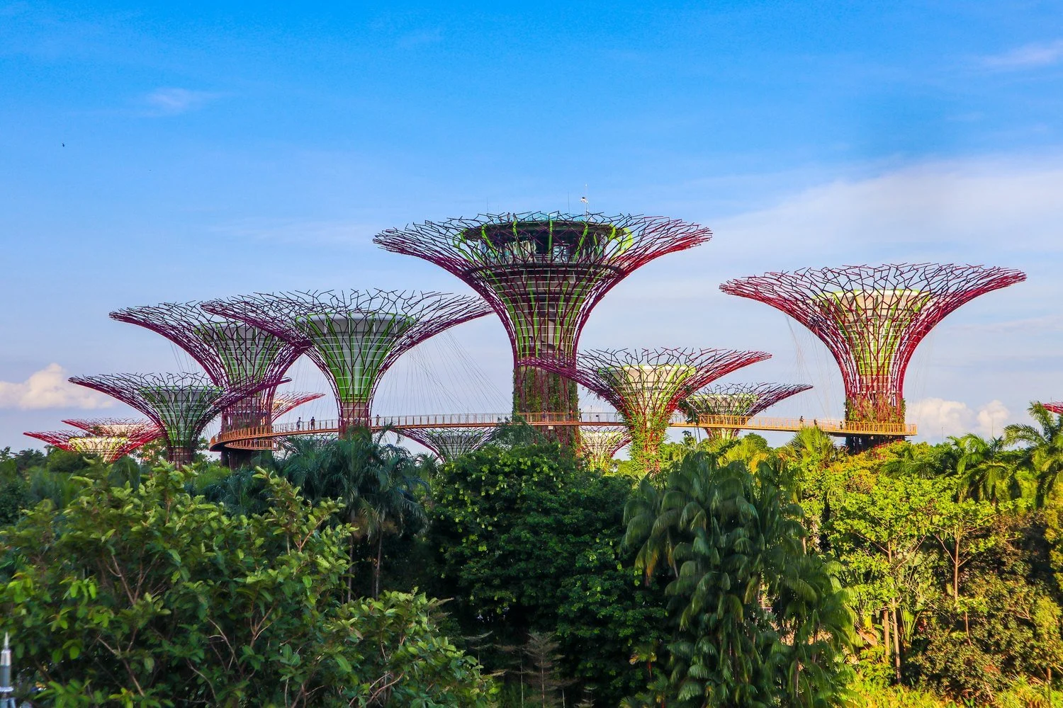 Supertrees at Gardens by the Bay in Singapore