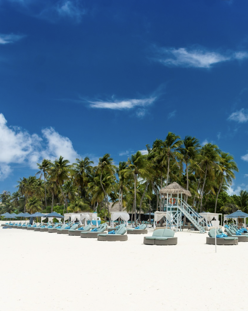 Empty tropical beach with lounge chairs, umbrellas, and palm trees under a blue sky.