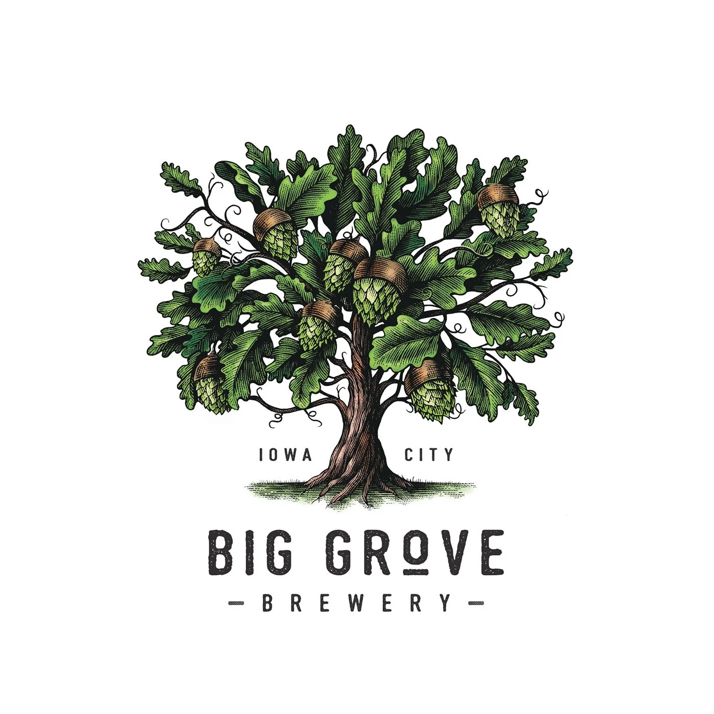 Collective Social Gathering at Big Grove Brewery Iowa City