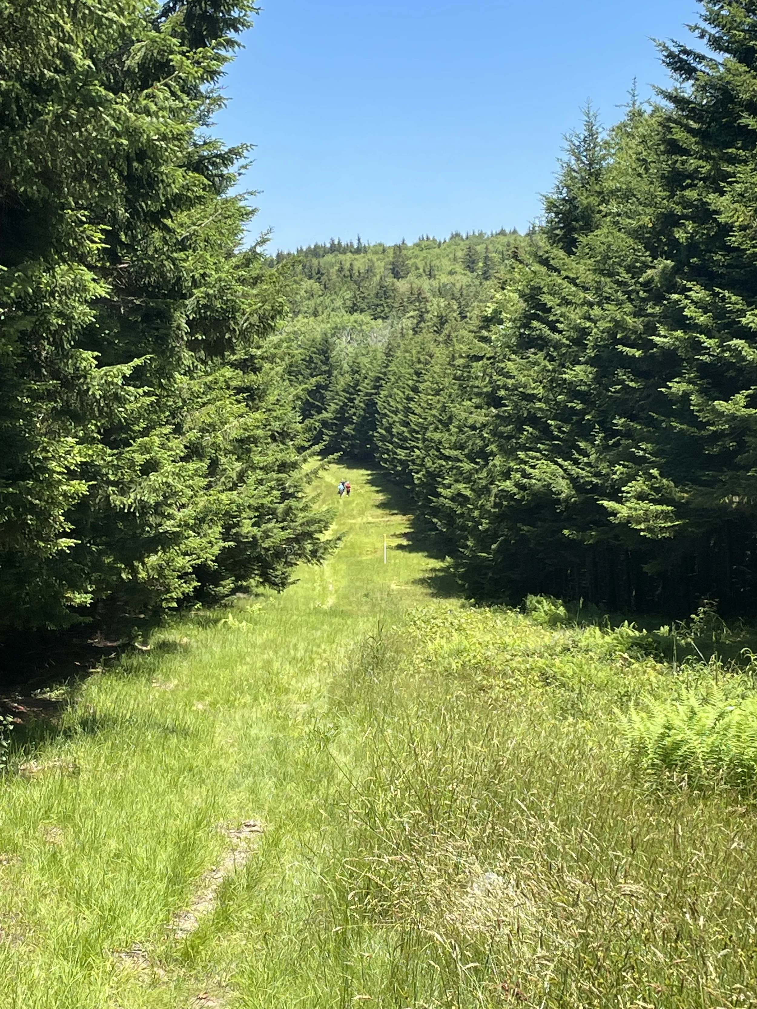 Hiking 