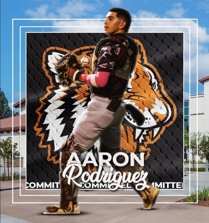 Young baseball player in uniform holding a glove, standing in front of a large tiger logo on a sports wall backdrop with his name, Aaron Rodriguez, written across the bottom.
