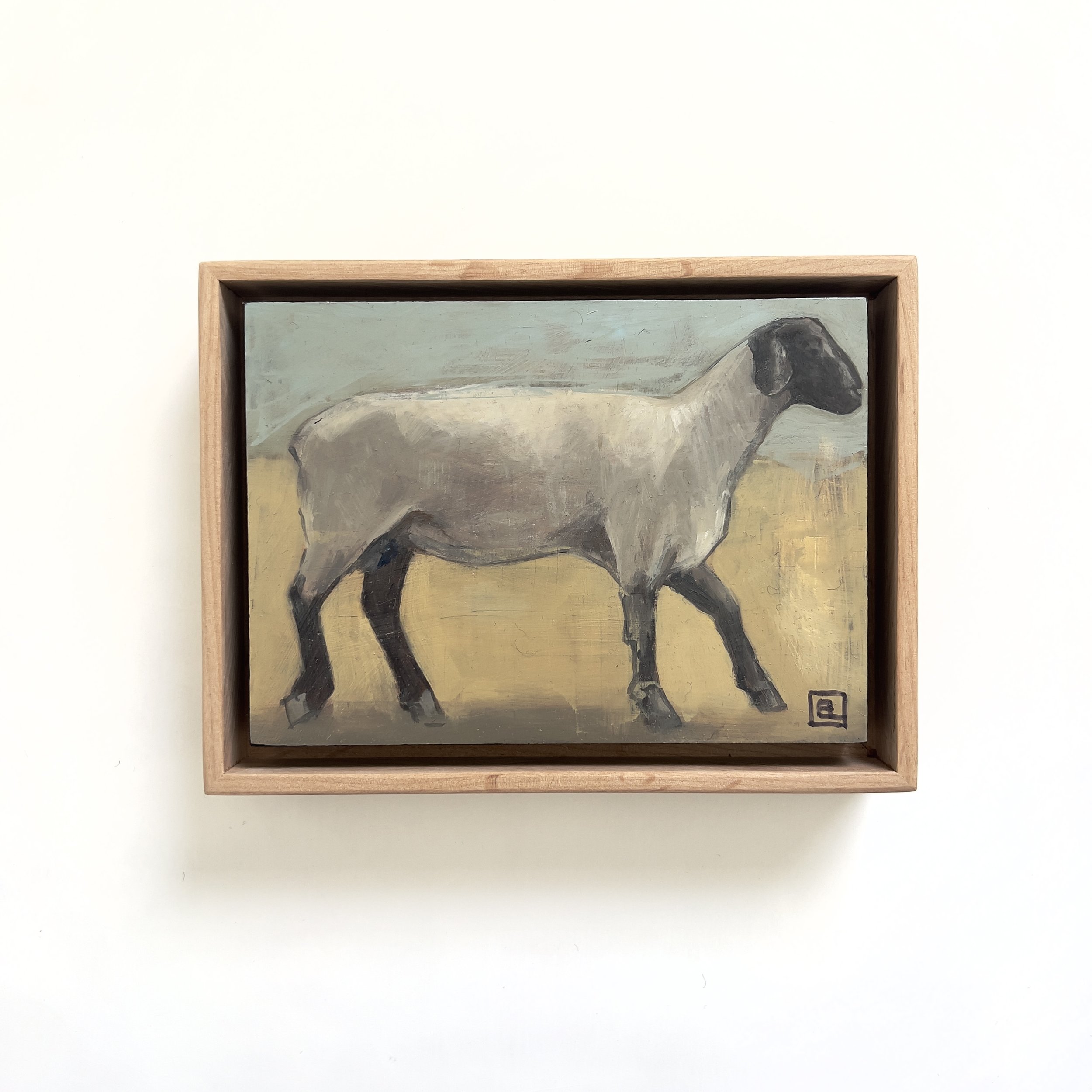 Shorn study, 7"x5" Oil on panel