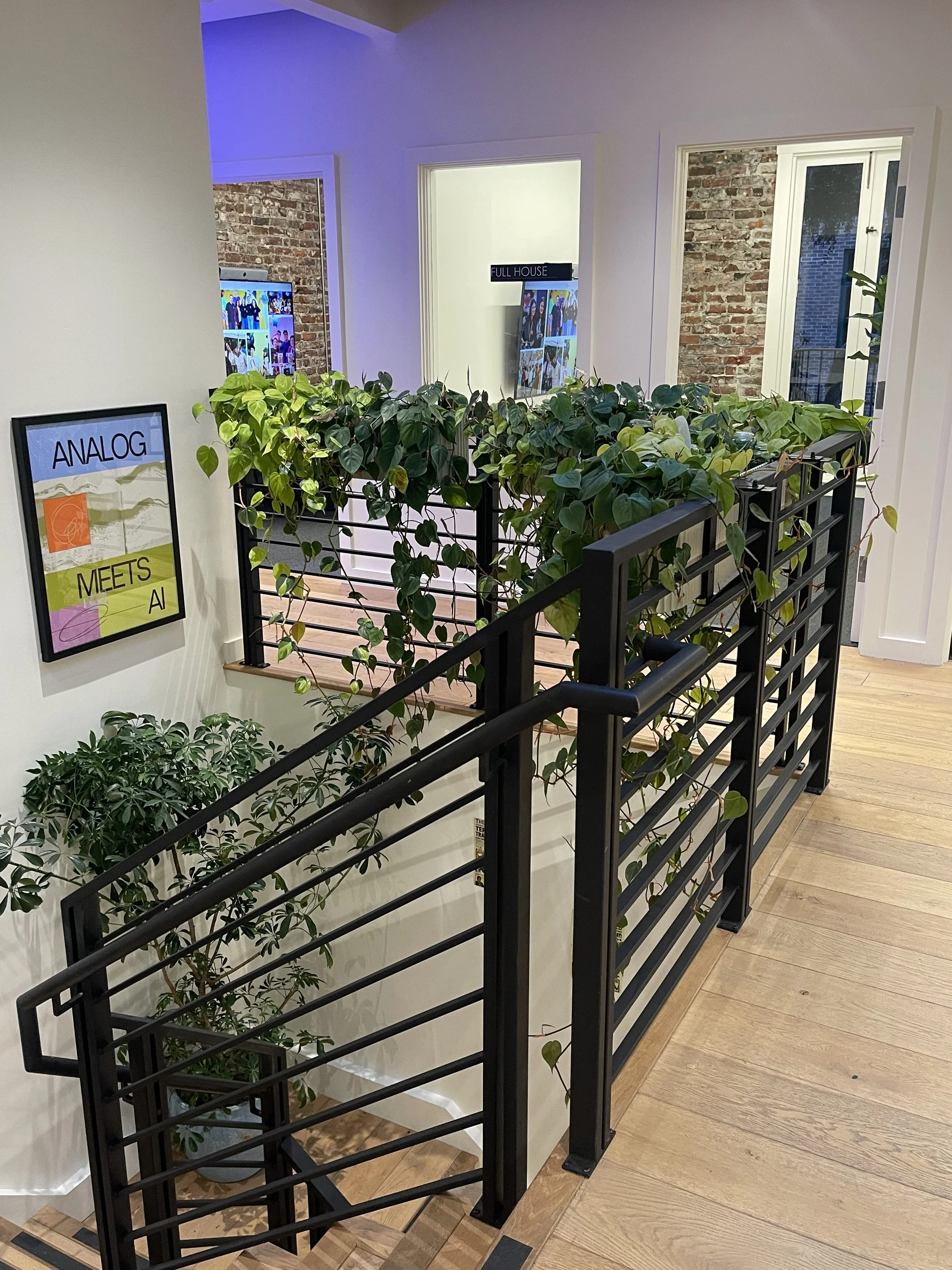 Indoor stairway with black metal railing and green potted plants in front of white wall, with framed art and windows on the walls.
