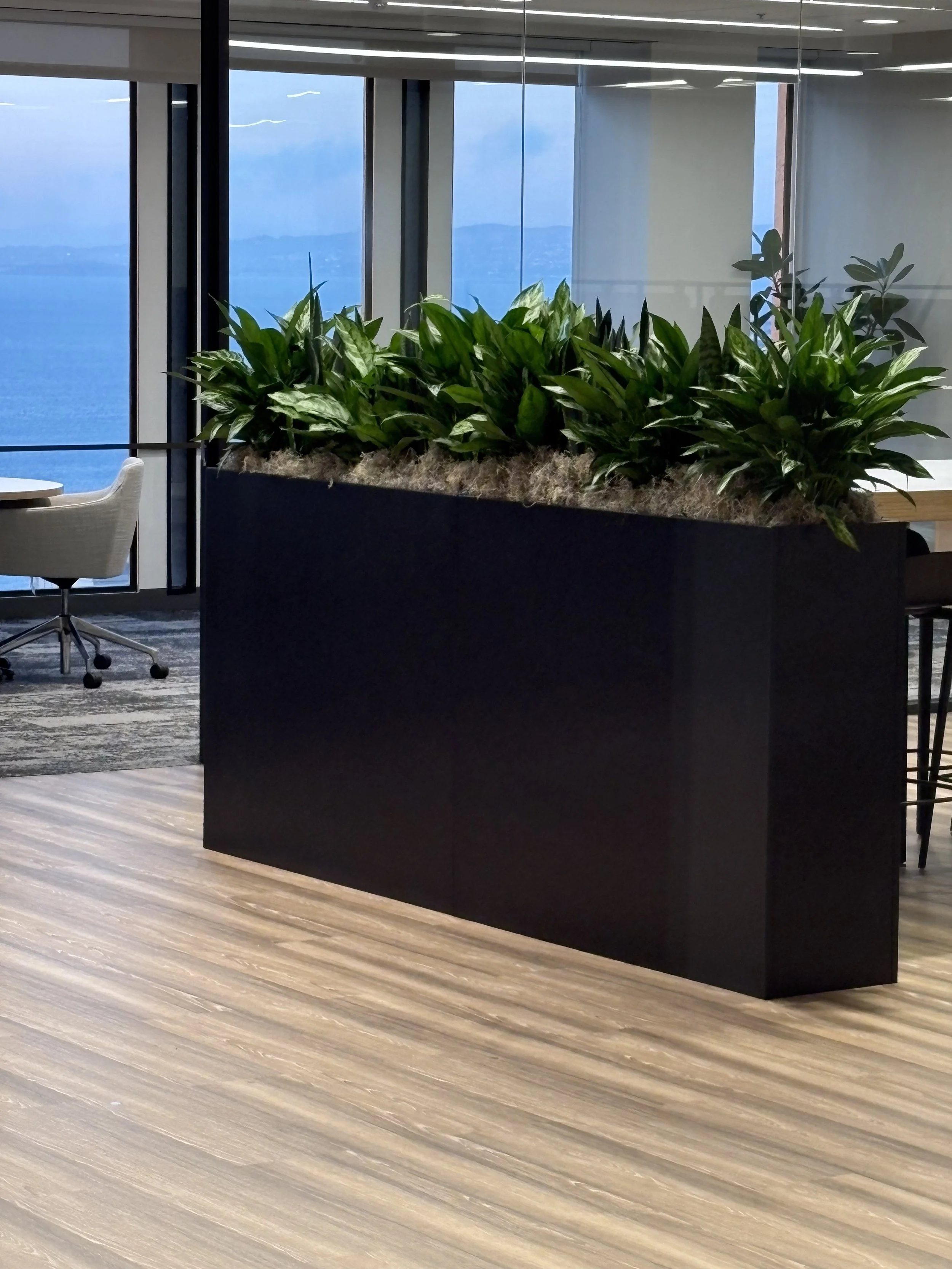 Indoor scene with a large rectangular black planter filled with green leafy plants, in front of large glass windows showing a view of a body of water and mountains in the background, with a wooden floor and partial view of a white chair on the left.