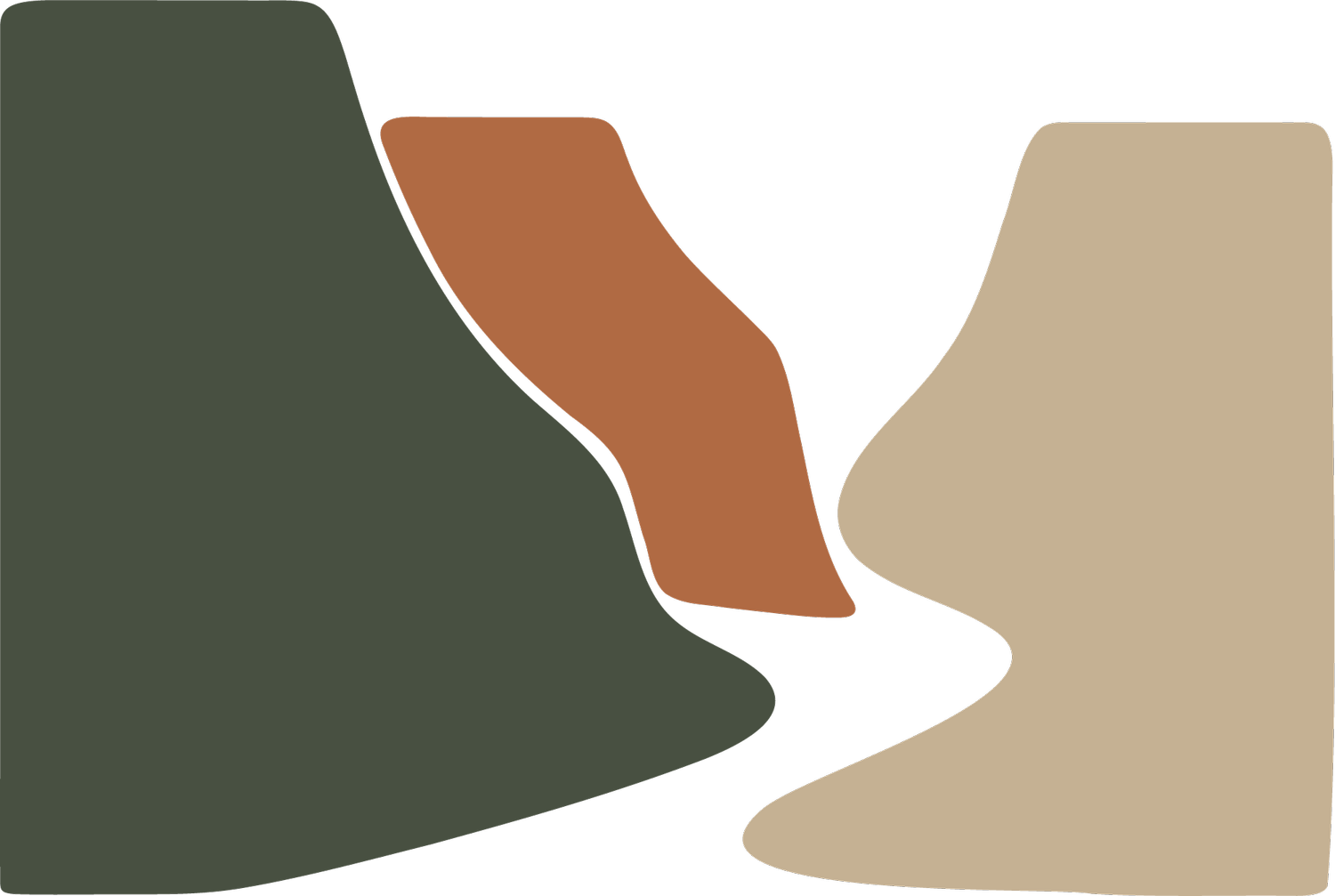 Three Canyon Consulting