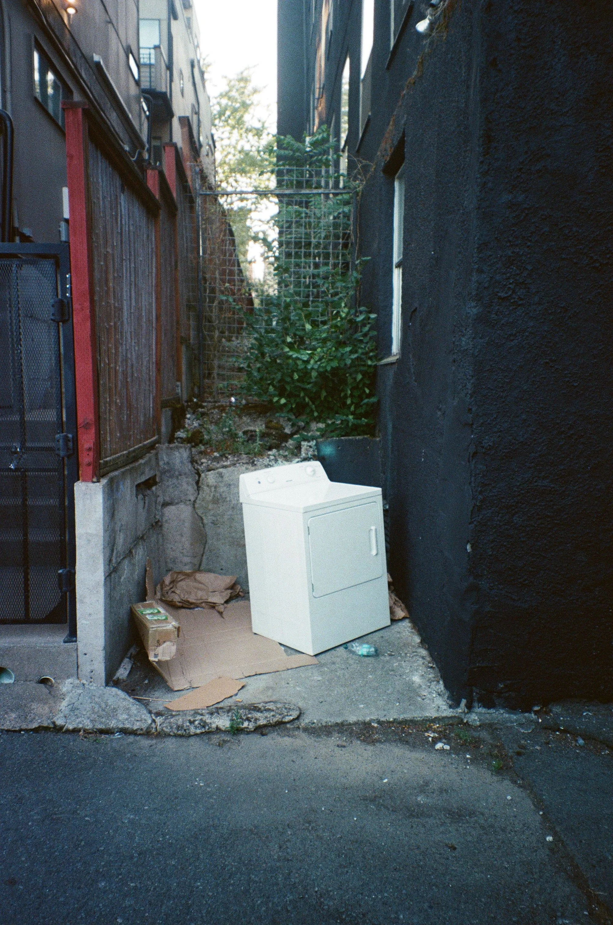 Scan89602.jpg