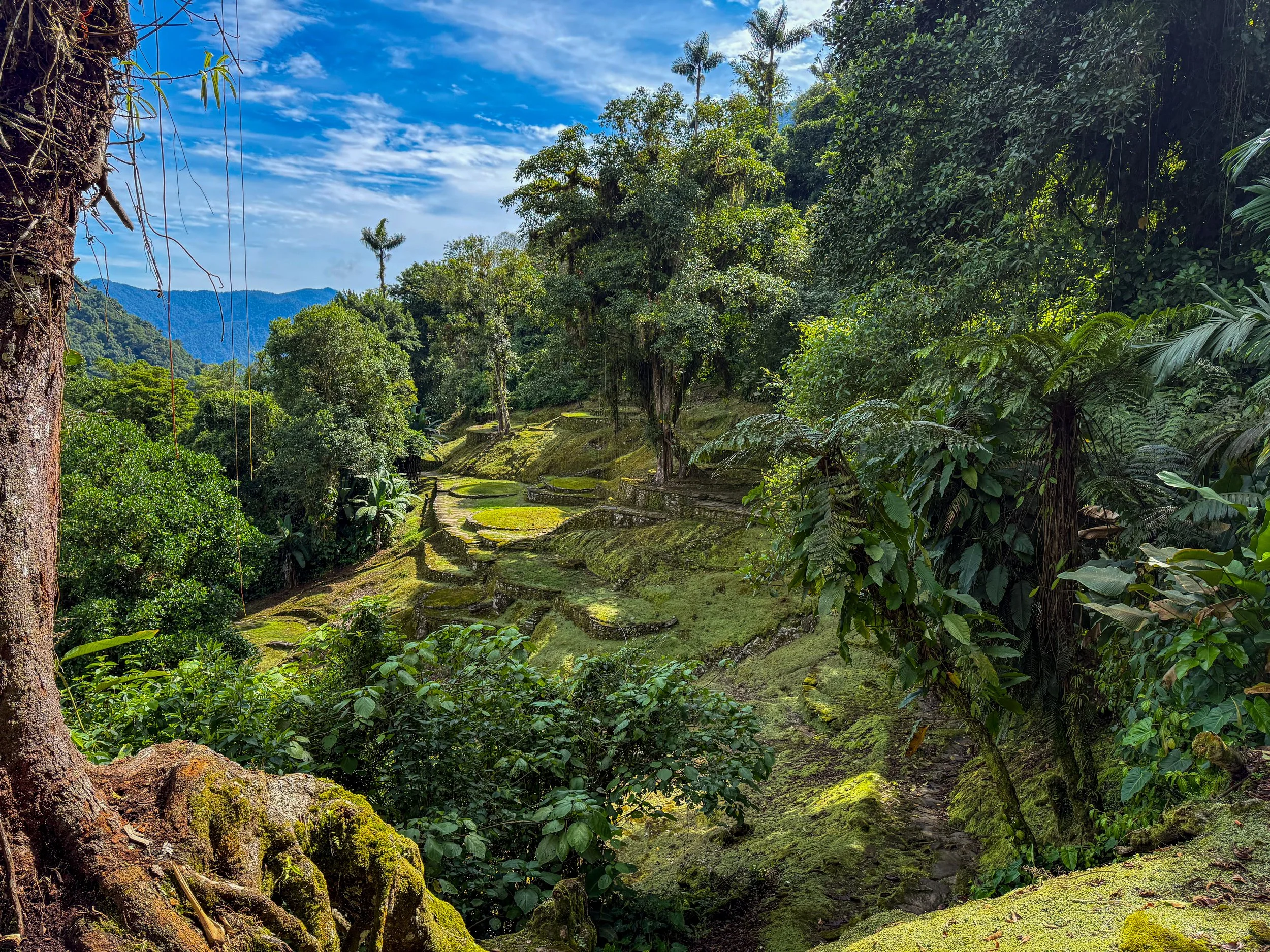 First Step: Staying True to Myself from Colombia