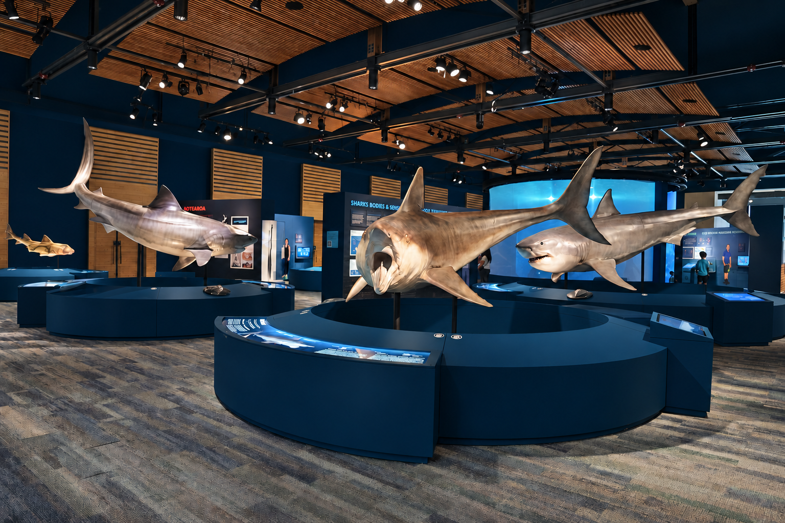 BelleSA Construction Sharks Alive The Witte.png