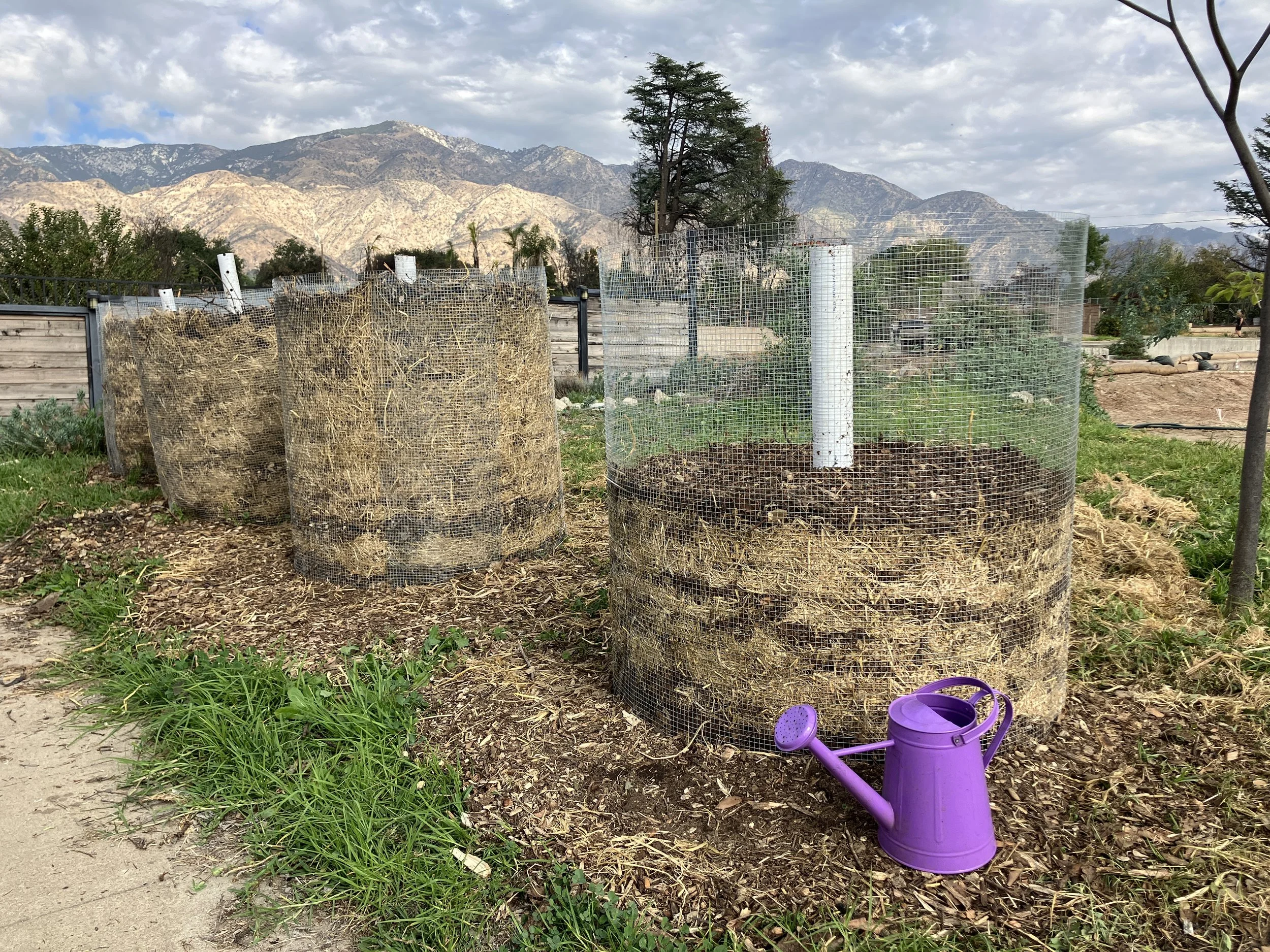 Healthy Soil Clinic