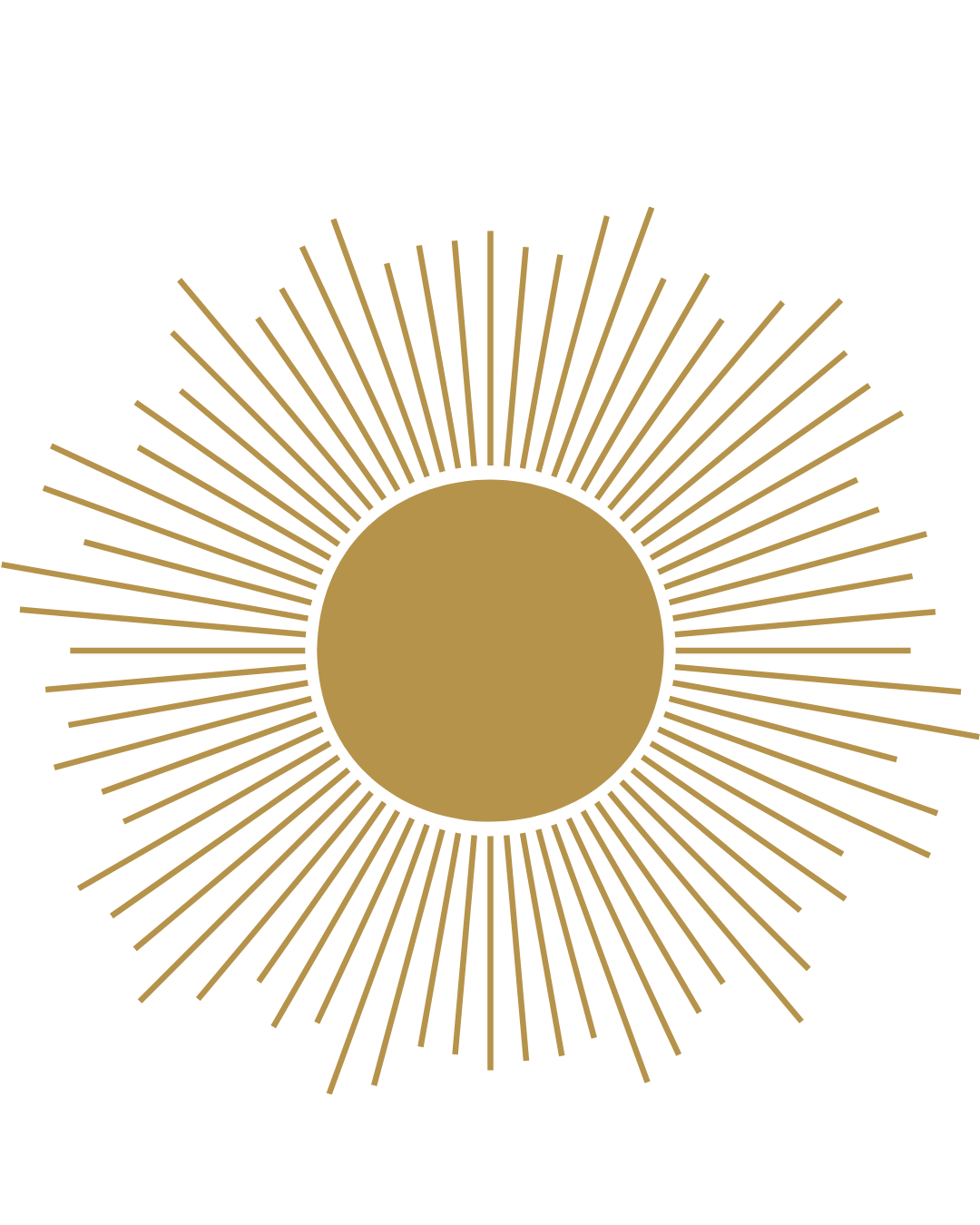 Stylized gold circle with radiating lines on a black background, resembling a sunburst.