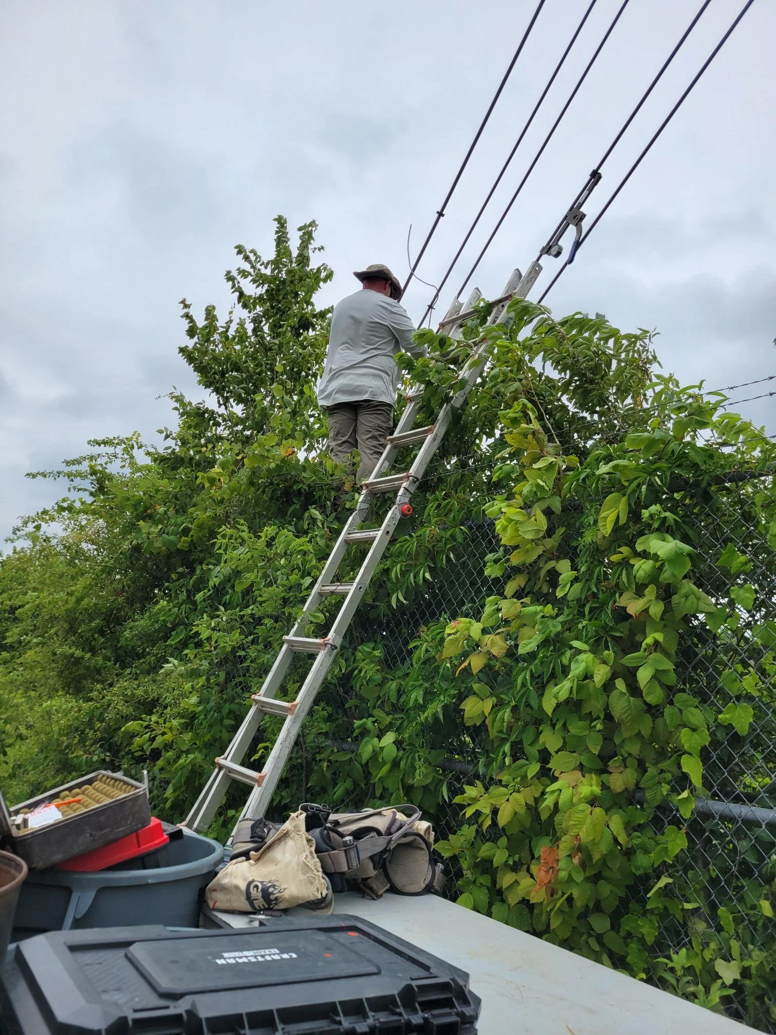Thorough inspection of guy wires, anchors, and tower support infrastructure. Clearing overgrown vegetation to maintain safe access, structural integrity, and compliance with tower maintenance and safety standards.