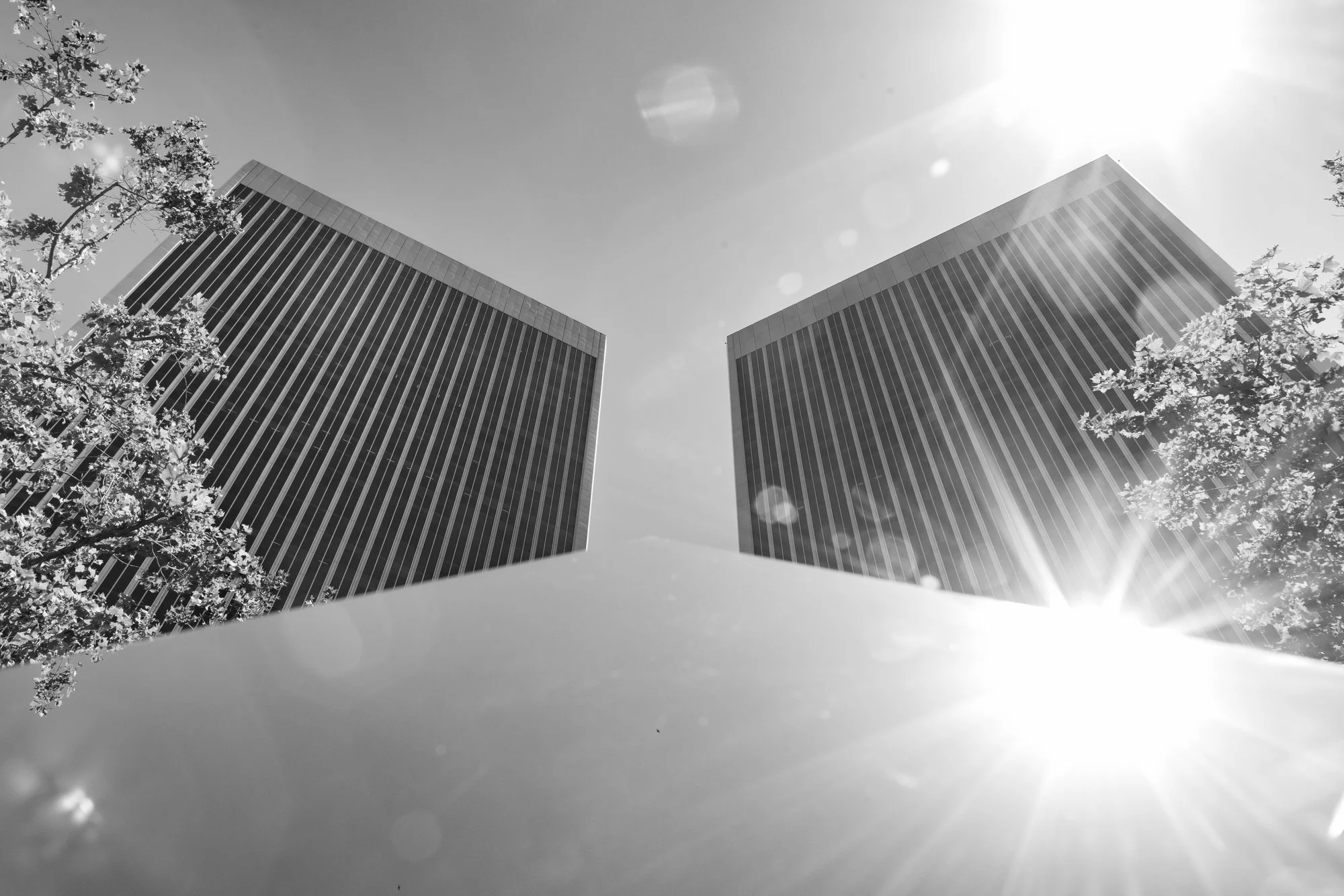 22-century-plaza-twin-towers-sun-flare-black-and-white-mirrored-century-city-los-angeles-linda-kasian.jpg