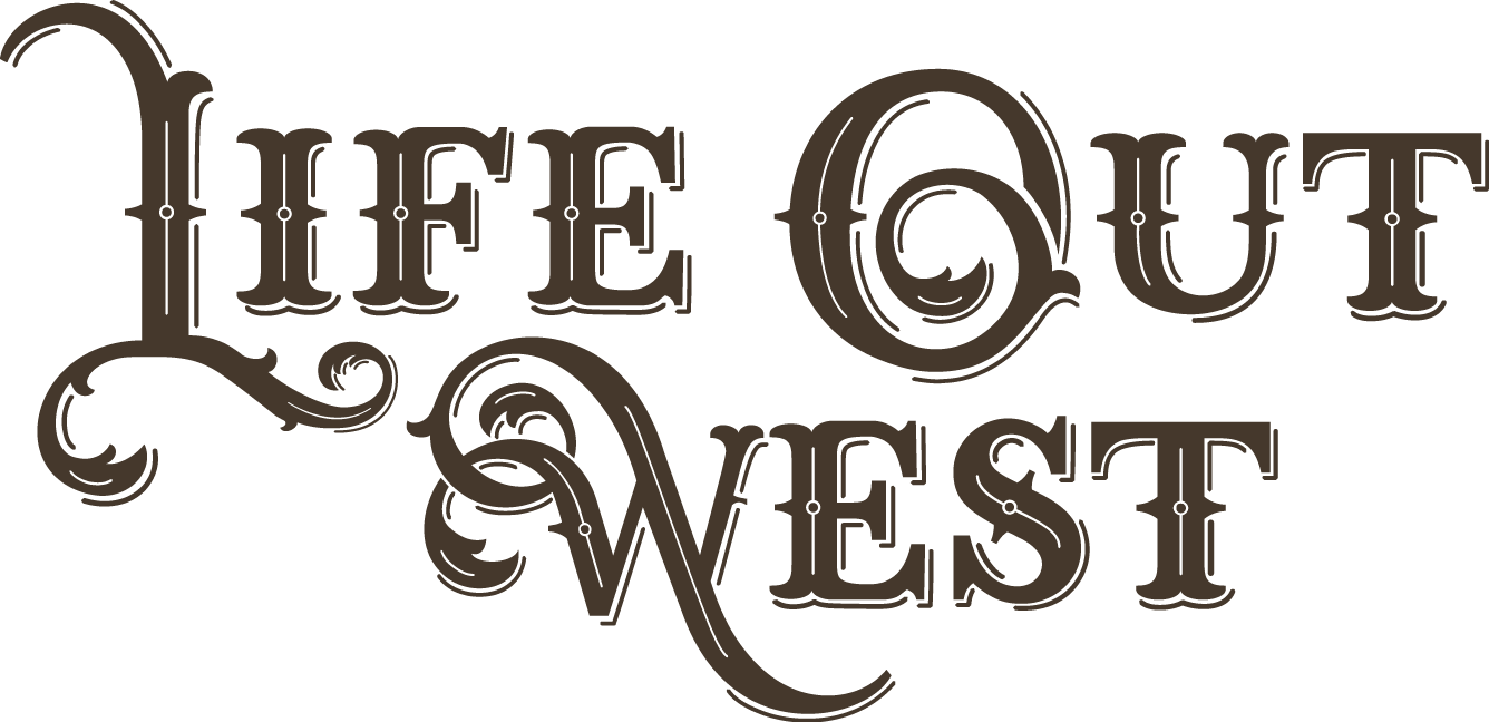 Board Game Life Out West title