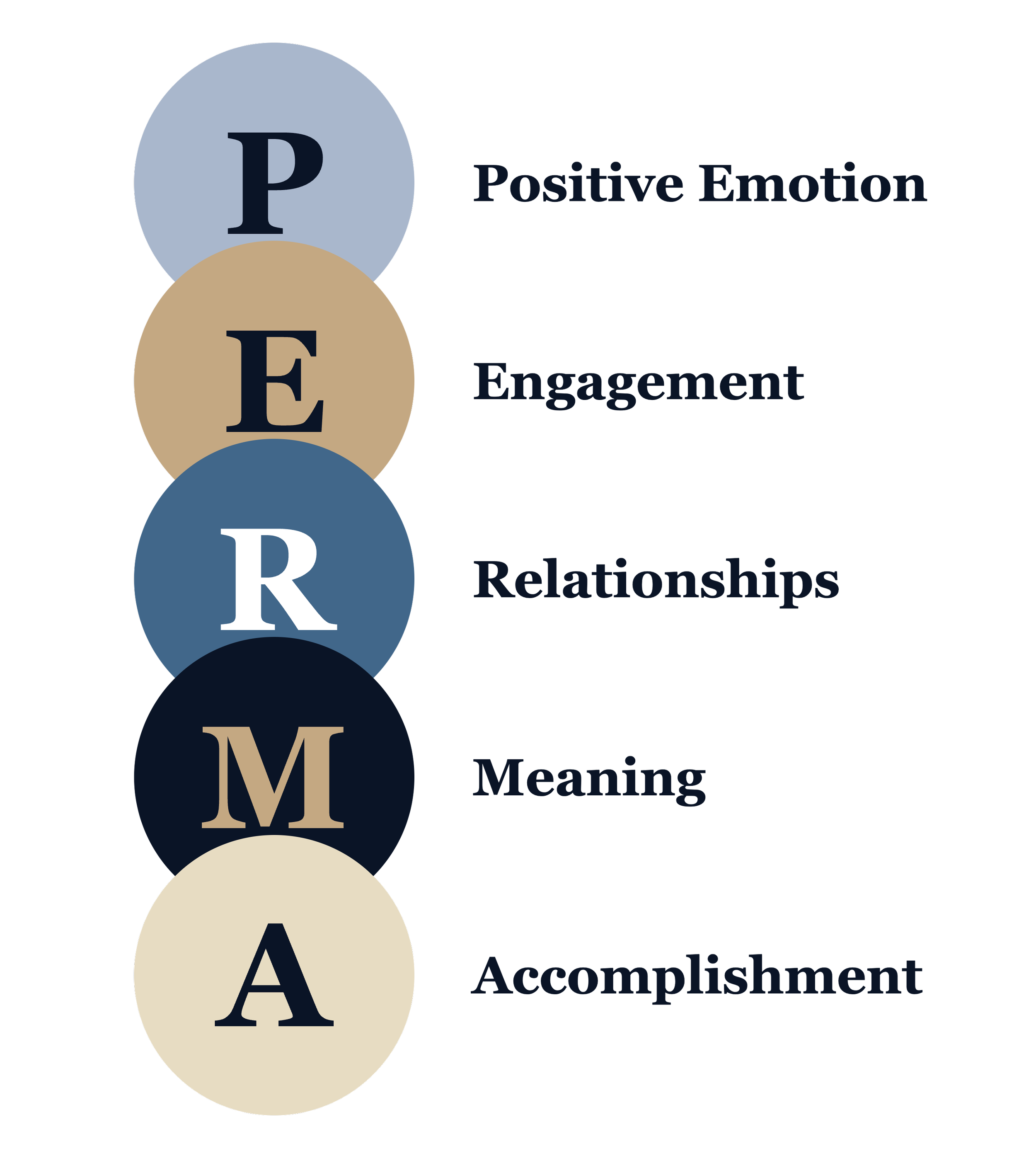 A diagram illustrating the components of the P.E.R.A. framework, which includes Positive Emotion, Engagement, Relationship, Accomplishment, and Meaning.