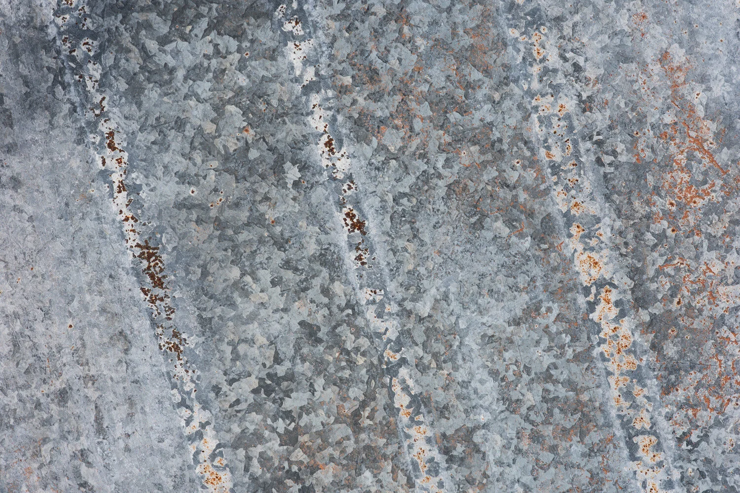 2019_07_detail.jpg